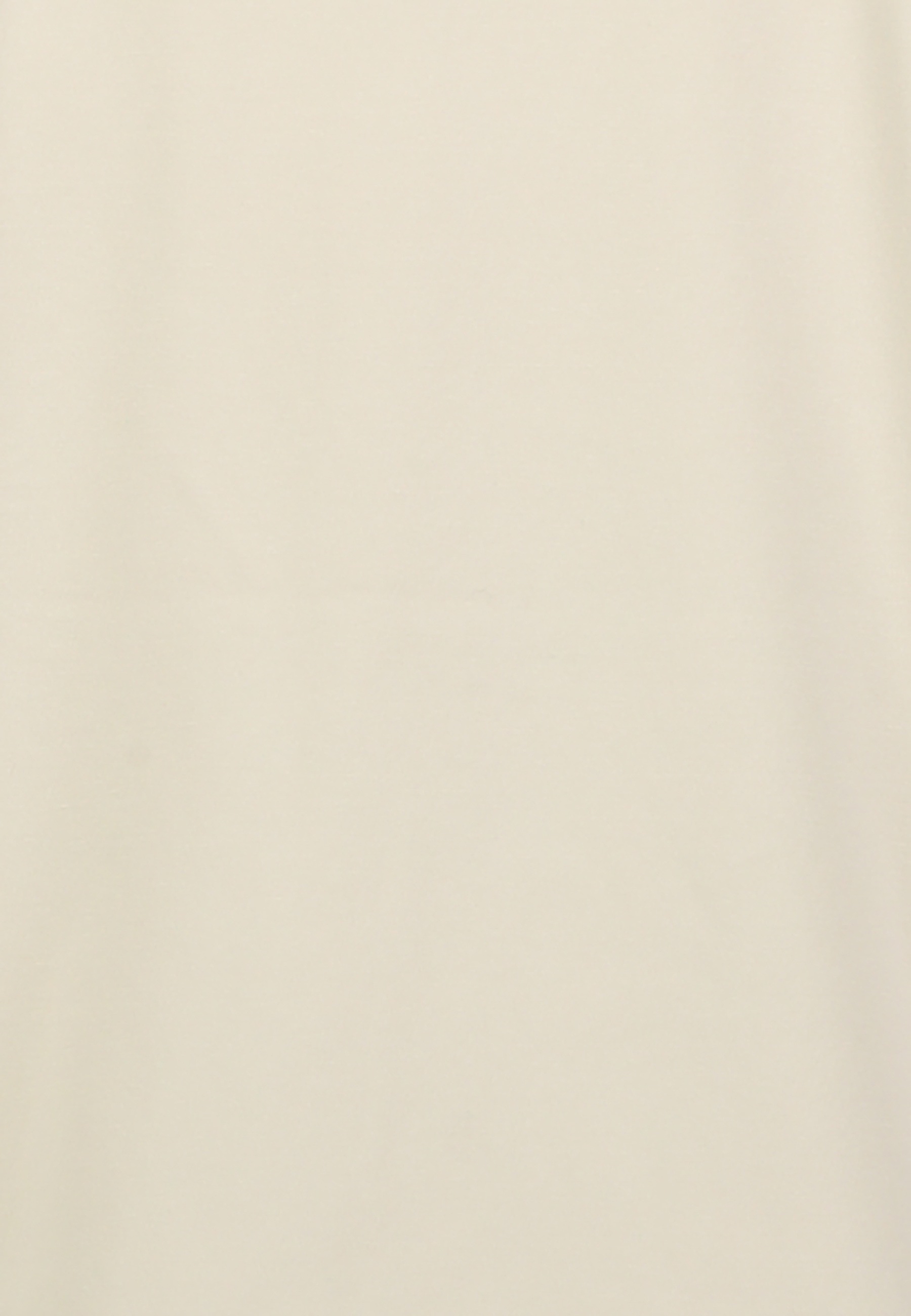 Roy Robson Rundhalsshirt »Basic Shirt«