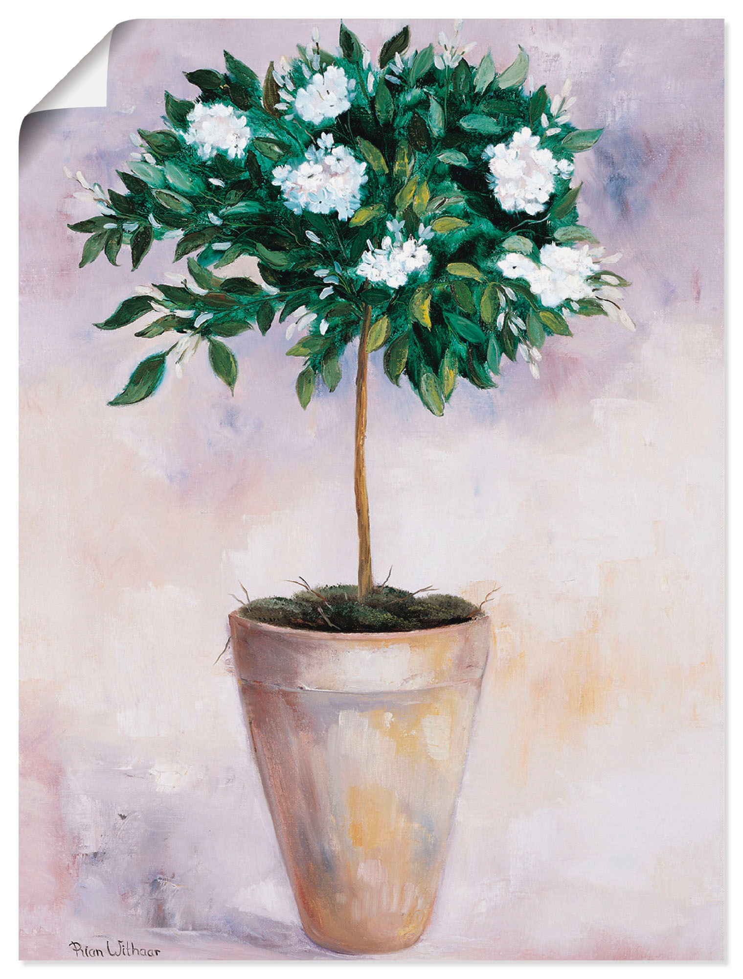 Artland Wandbild "Winterjasmin", Pflanzen, (1 St.), als Poster, Wandaufkleber in verschied. Größen