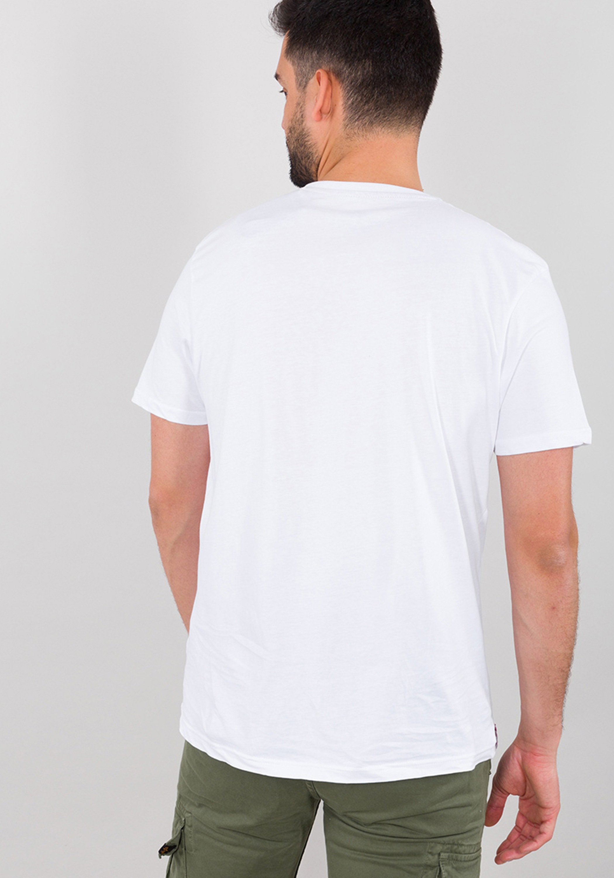 Alpha Industries T-Shirt »Block Logo T-Shirt«
