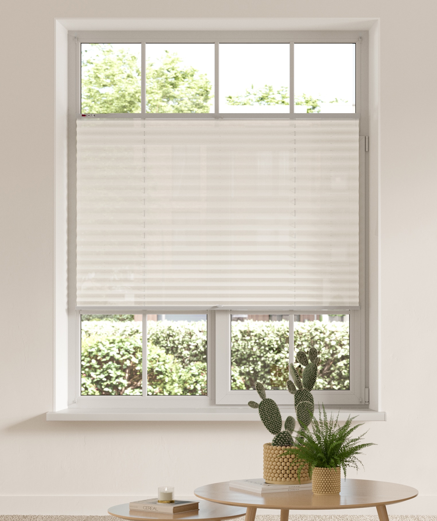 my home Plissee "LAHOLM" Lichtschutz ohne Bohren verspannt Fixmaß, Bestsell günstig online kaufen