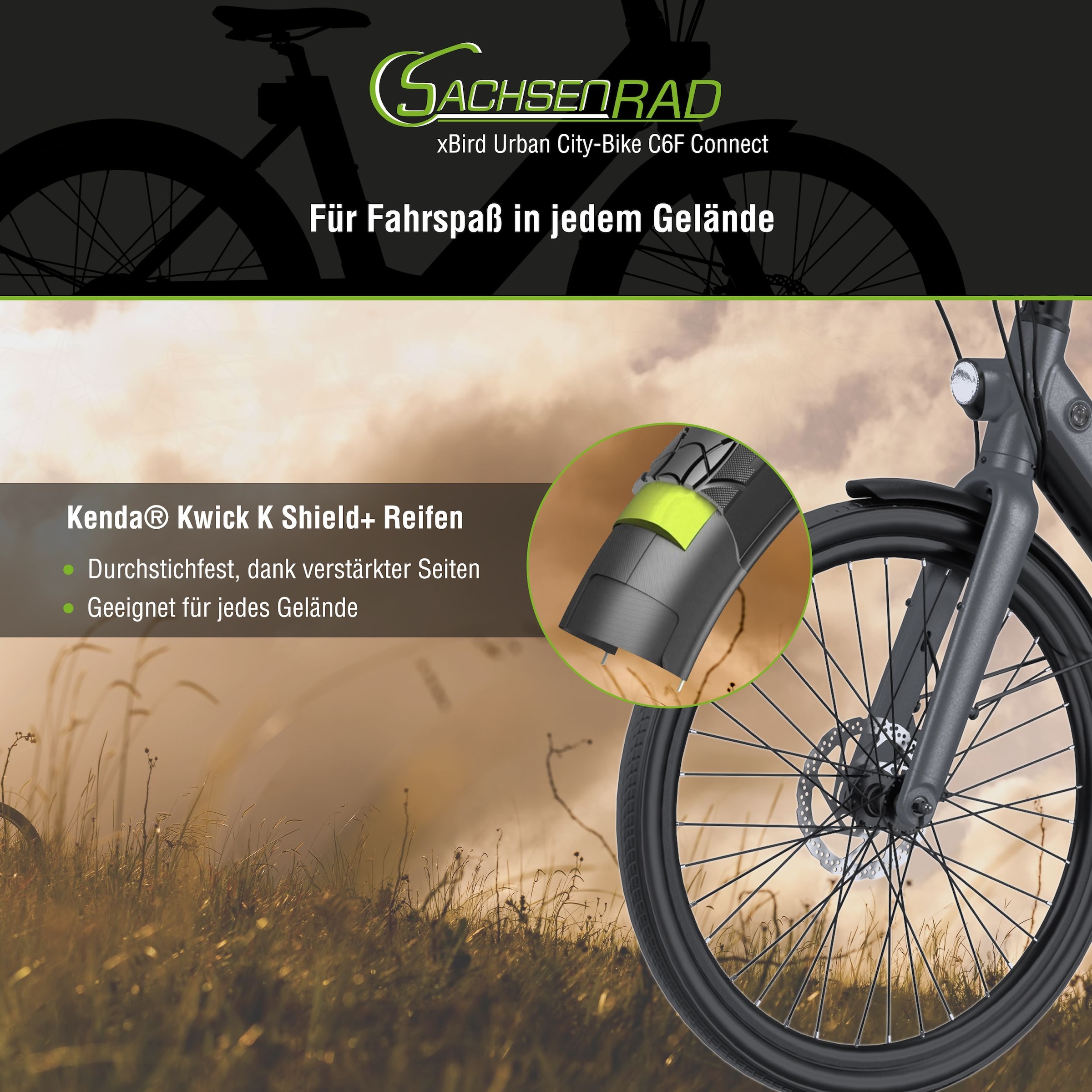 SachsenRad »SachsenRAD xBird Urban E-City-Bike C6F Connect« 7 Gang Shimano Kettenschaltung Heckmotor 250 W