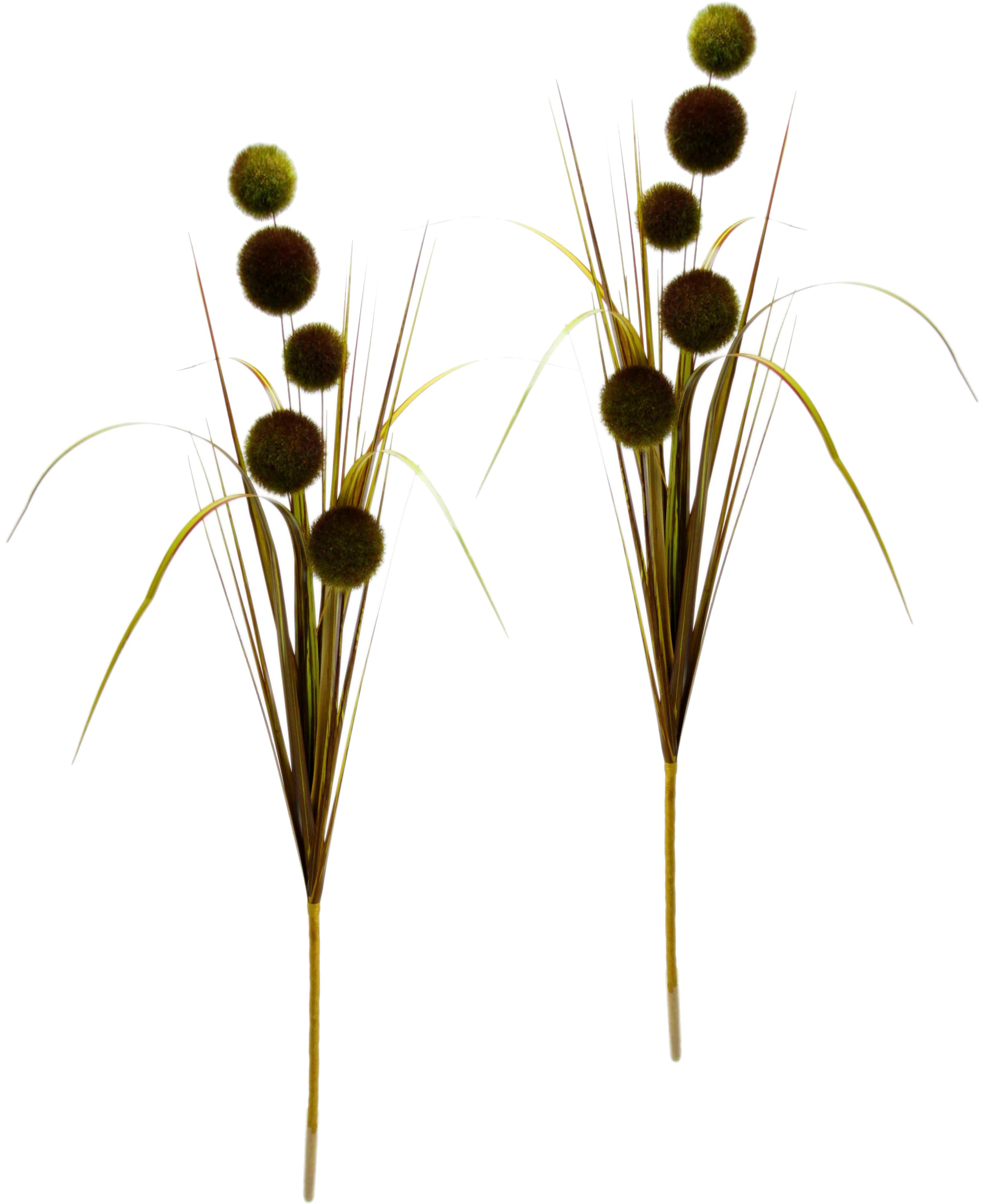 Gras«, 2er Dekozweig, Set im I.GE.A. | kaufen BAUR »Allium Kunstpflanze