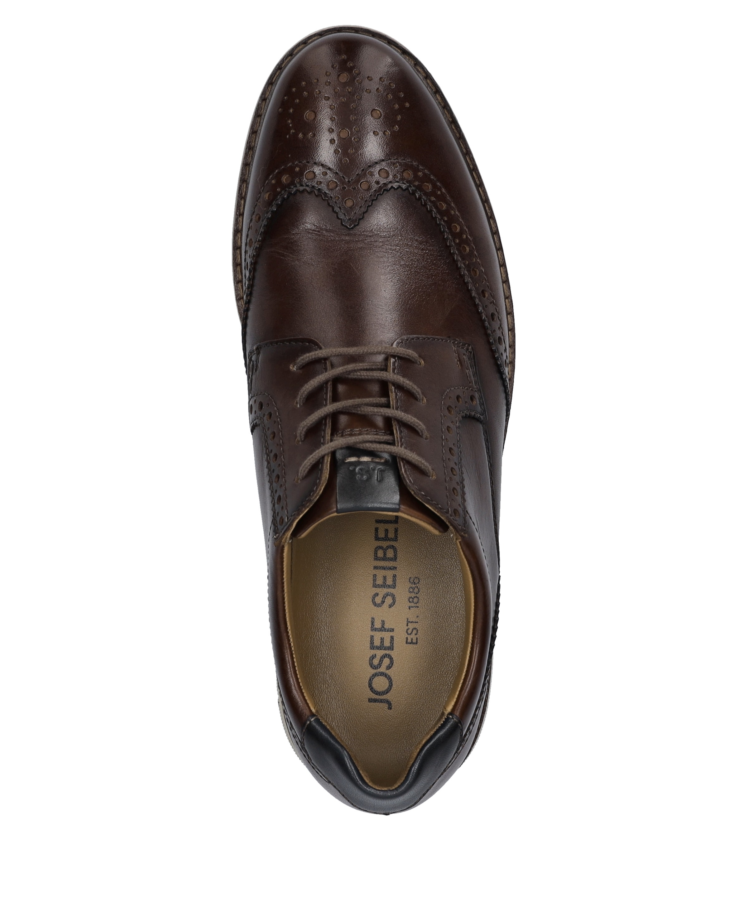 Josef Seibel Schnürschuh »Stuart 04, castagne-kombi«