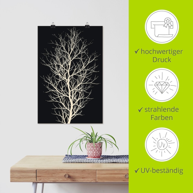 Artland Wandbild »Der schwarze Baum«, Baumbilder, (1 St.), als Alubild,  Leinwandbild, Wandaufkleber oder Poster in versch. Größen kaufen | BAUR