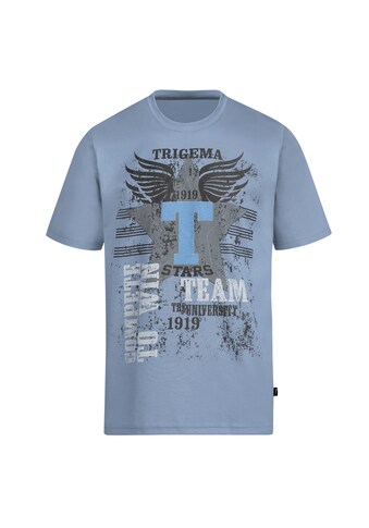 T-Shirt »TRIGEMA T-Shirt mit großem Print-Motiv«, (1 tlg.)