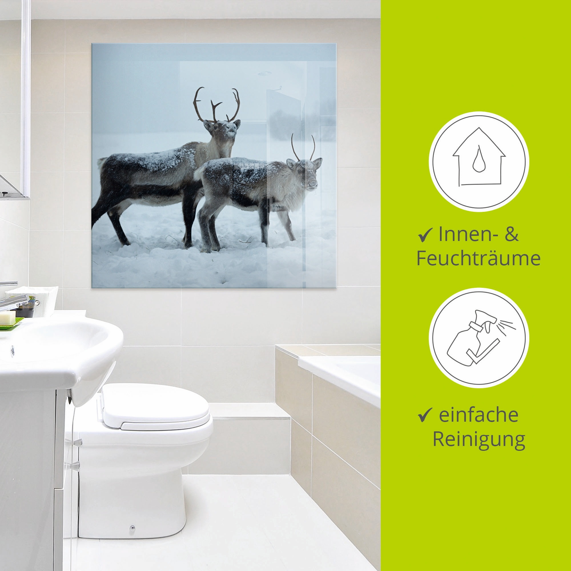 Artland Glasbild »Rentier«, Wildtiere, (1 St.), in verschiedenen Größen