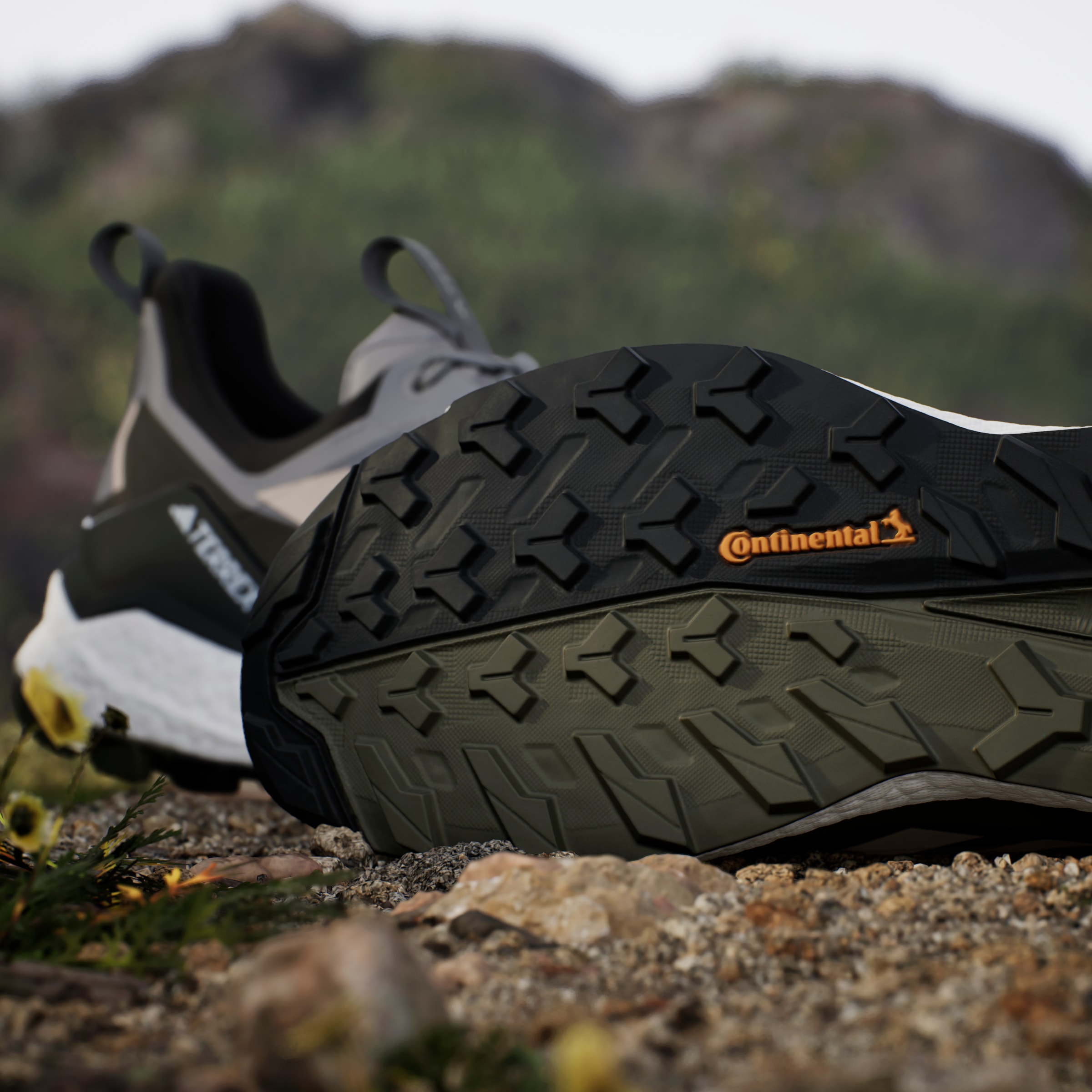 adidas TERREX Wanderschuh »TERREX FREE HIKER 2.0 LOW«