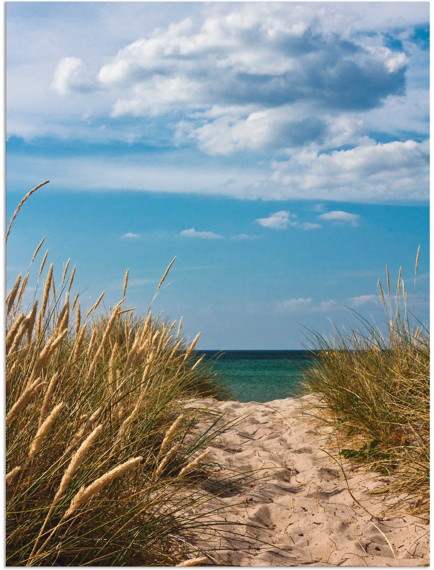 Artland Wandbild »Strandzugang oder Größen Poster der 9«, als Alubild, versch. Wandaufkleber Dänemark an | (1 BAUR Ostsee Leinwandbild, Strand, kaufen in St.), 