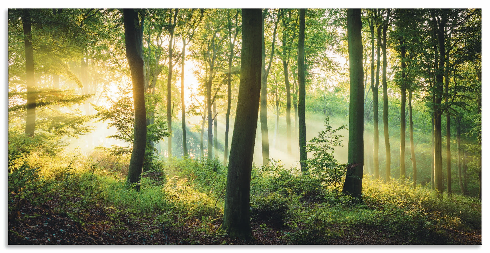 Artland Paveikslas »Herbst im Wald II« Waldbil...
