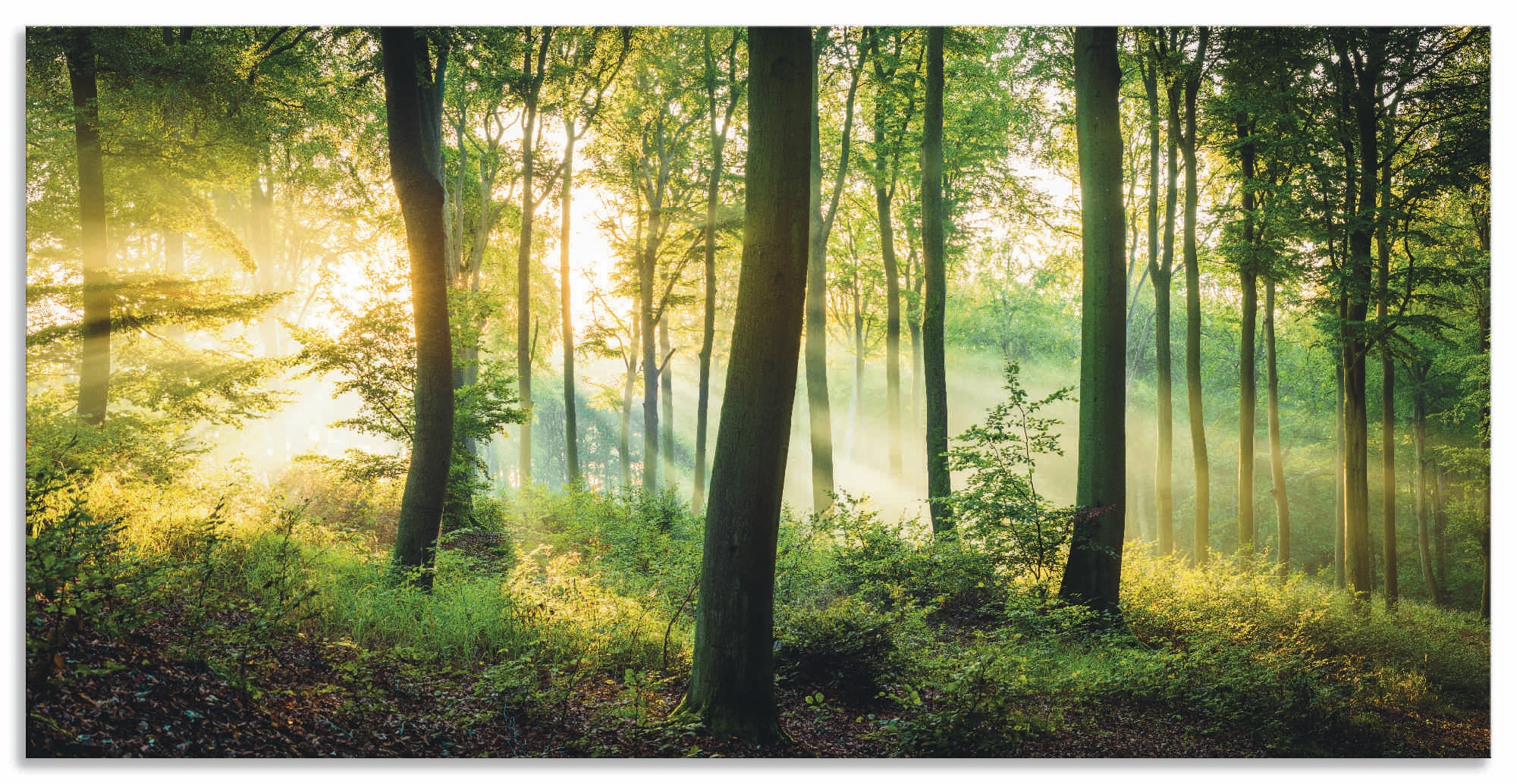 Artland Wandbild "Herbst im Wald II", Waldbilder, (1 St.), als Alubild, Outdoorbild, Leinwandbild, Poster, Wandaufkleber