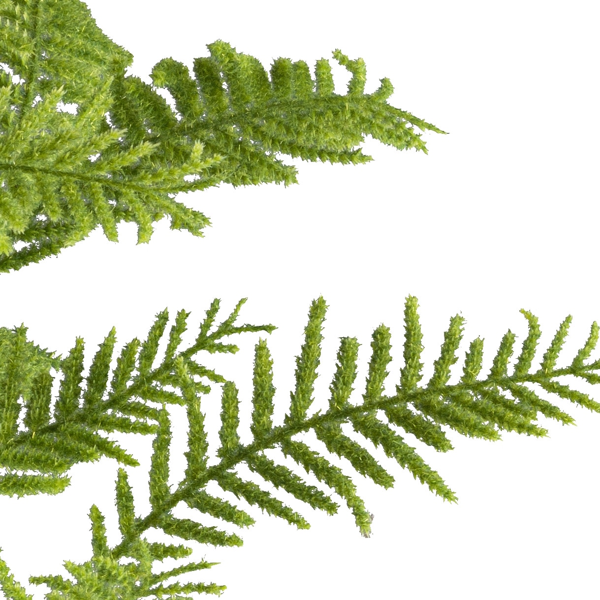 Creativ green Kunstpflanze »Schildfarn«, mit zahlreichen Wedeln