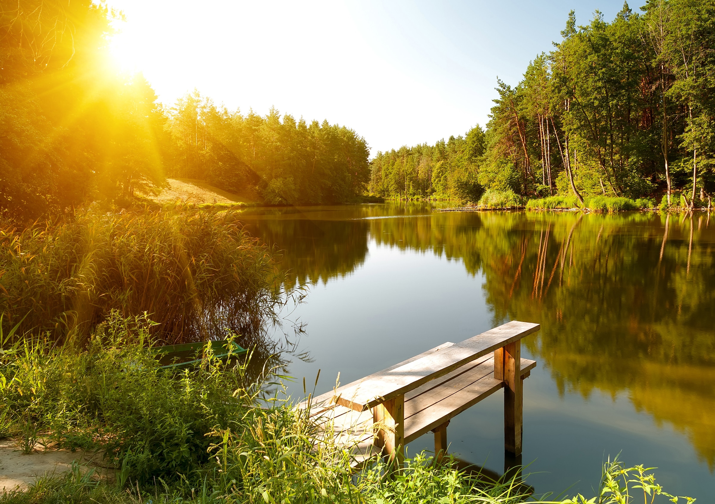 Papermoon Fototapetas vasarinė Forest Lake«