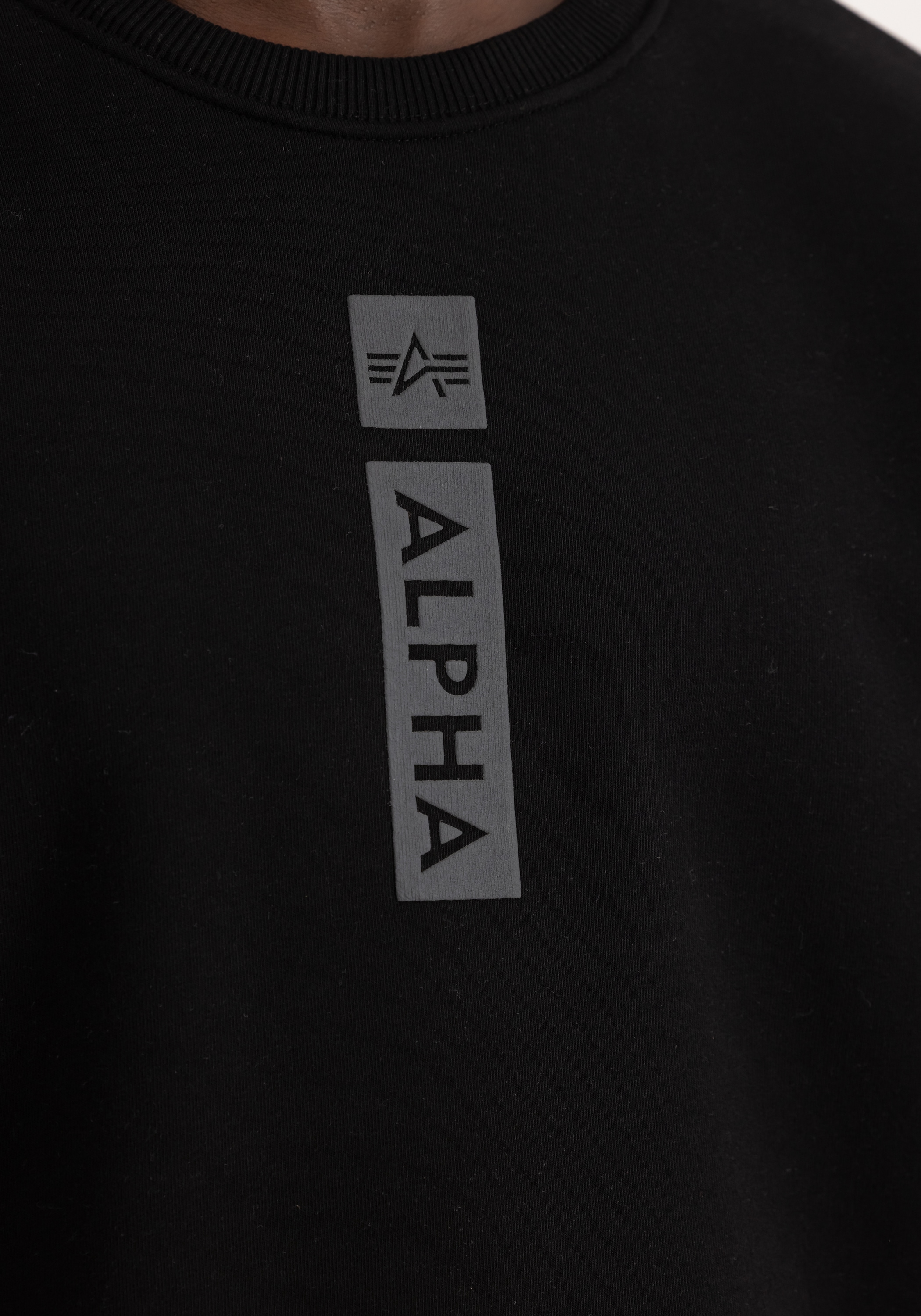 Alpha Industries Sweater »Alpha Industries Men - Sweatshirts Alpha Refl. Print Sweater«