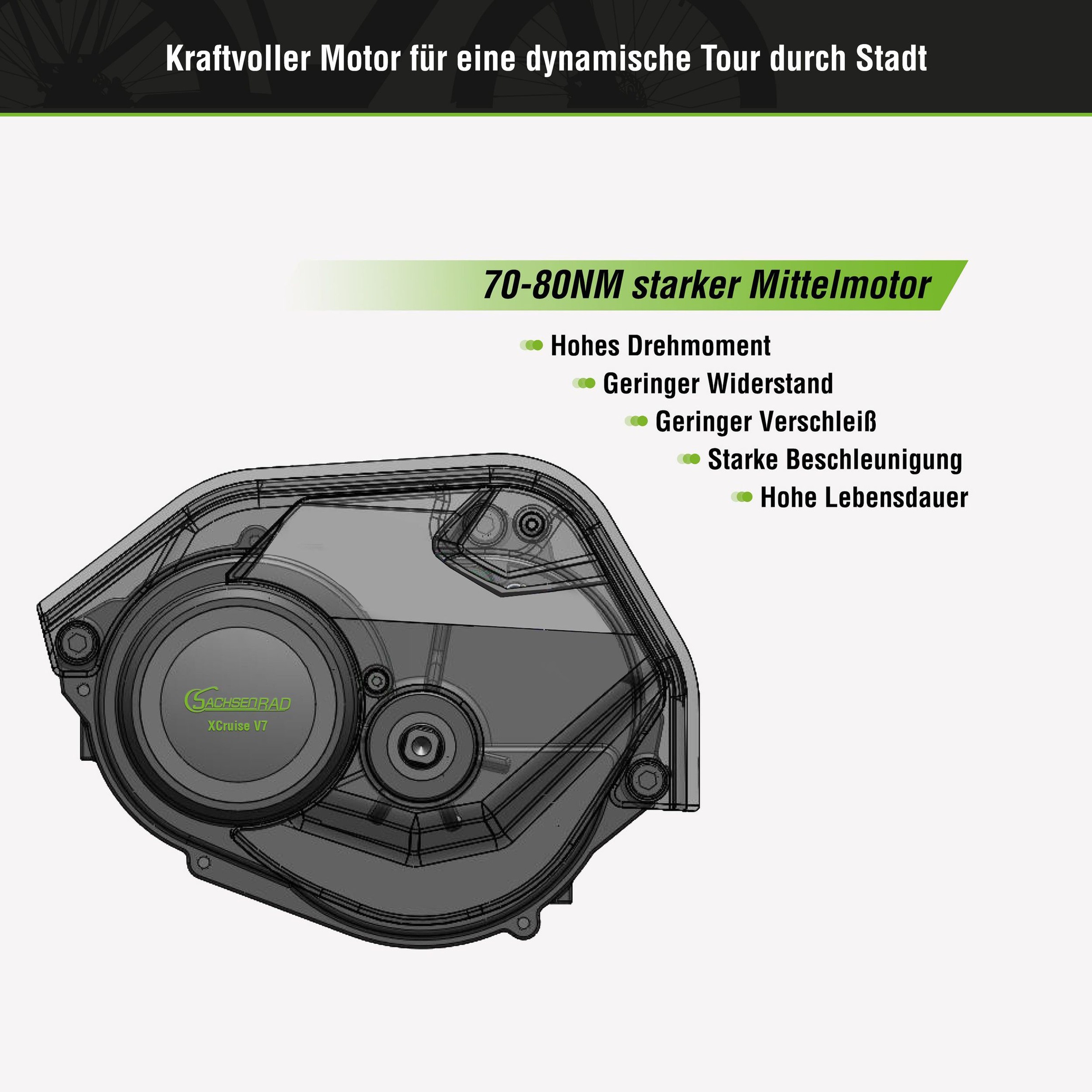 SachsenRad »C5 Centro II mit Diebstahlsicherung« 8 Gang Shimano Kettenschaltung Mittelmotor 250 W