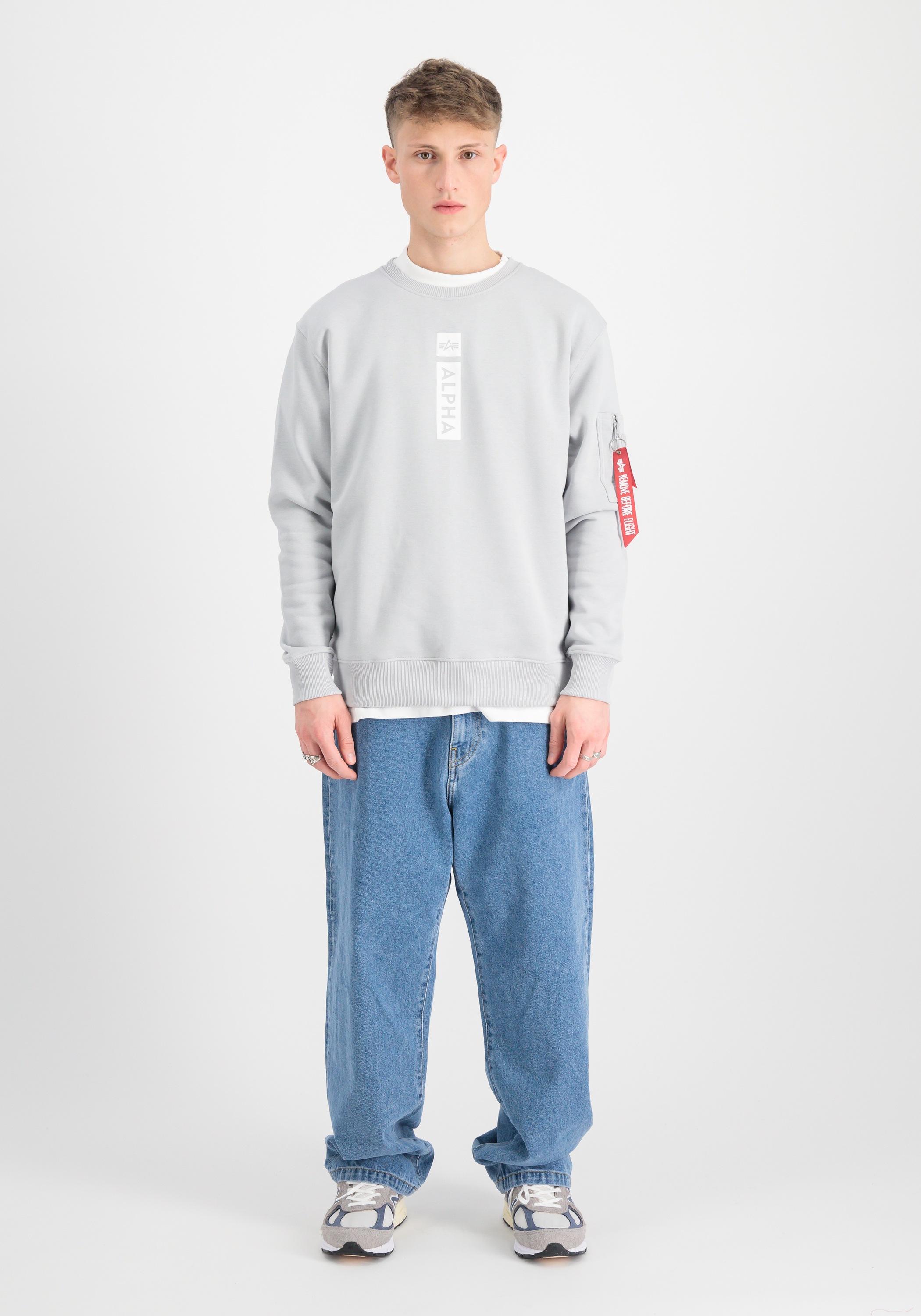 Alpha Industries Sweater »Alpha Industries Men - Sweatshirts Alpha Refl. Print Sweater«