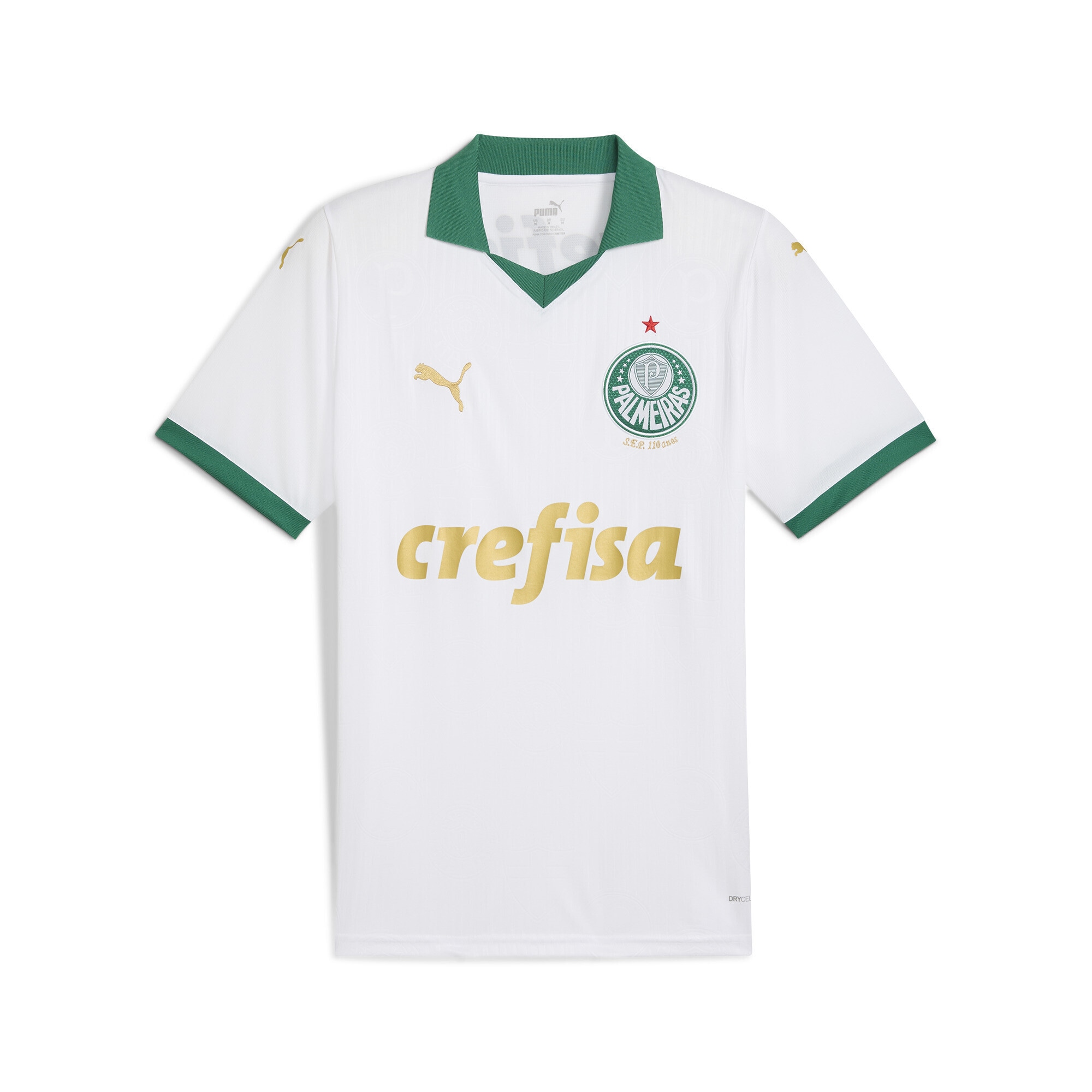 PUMA Trainingsshirt "Palmeiras Fans 2024 Auswärtstrikot Herren"