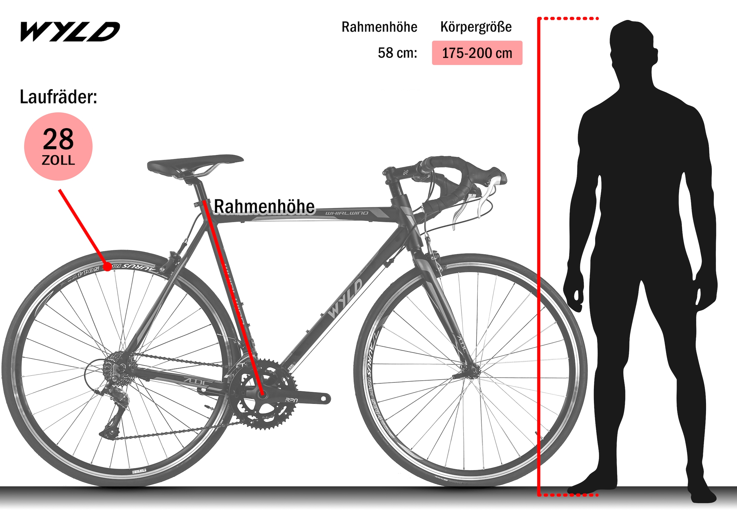 WYLD Rennrad »WYLD Rennrad 28'' Whirlwind 200 18 Gänge« 18 Gang Kettenschaltung