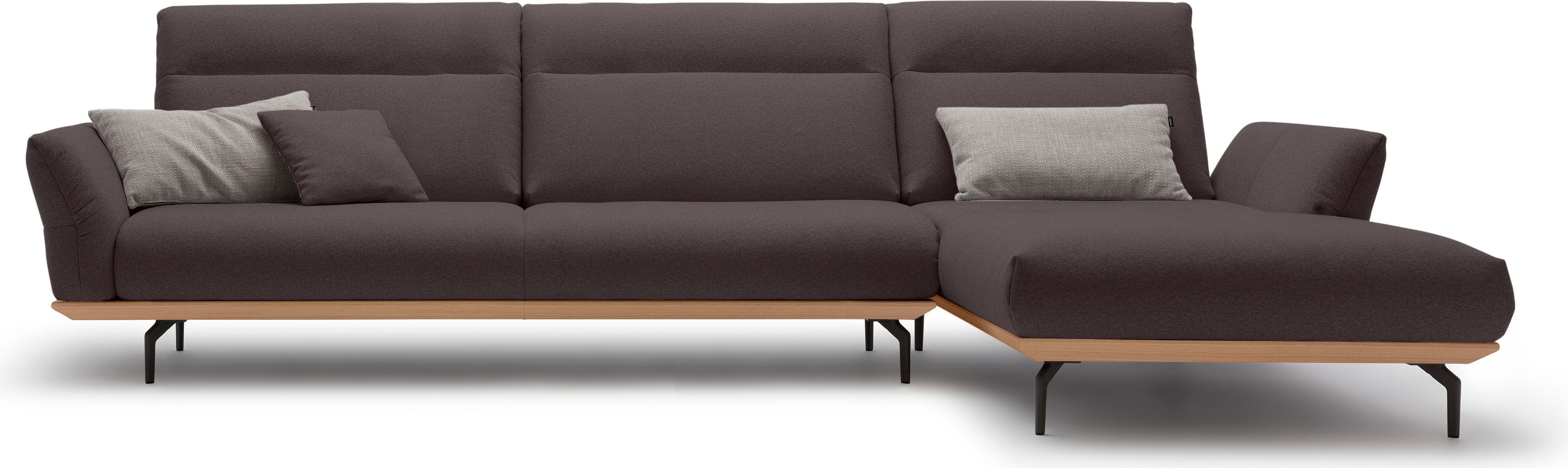Creation BY ROLF BENZ Ecksofa "CR.460, Design-Sofa der Extraklasse, verstellbare Rückenlehne, L-Form" Sockel in Eiche, Winkelfüße in Umbragrau, Breite 338 cm
