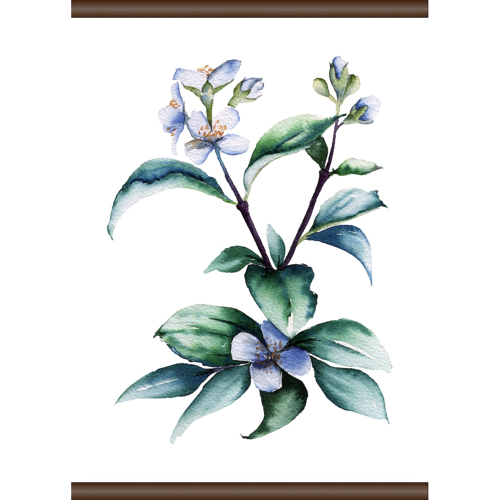 queence Leinwandbild »Lila Pflanze«, 50x70 cm