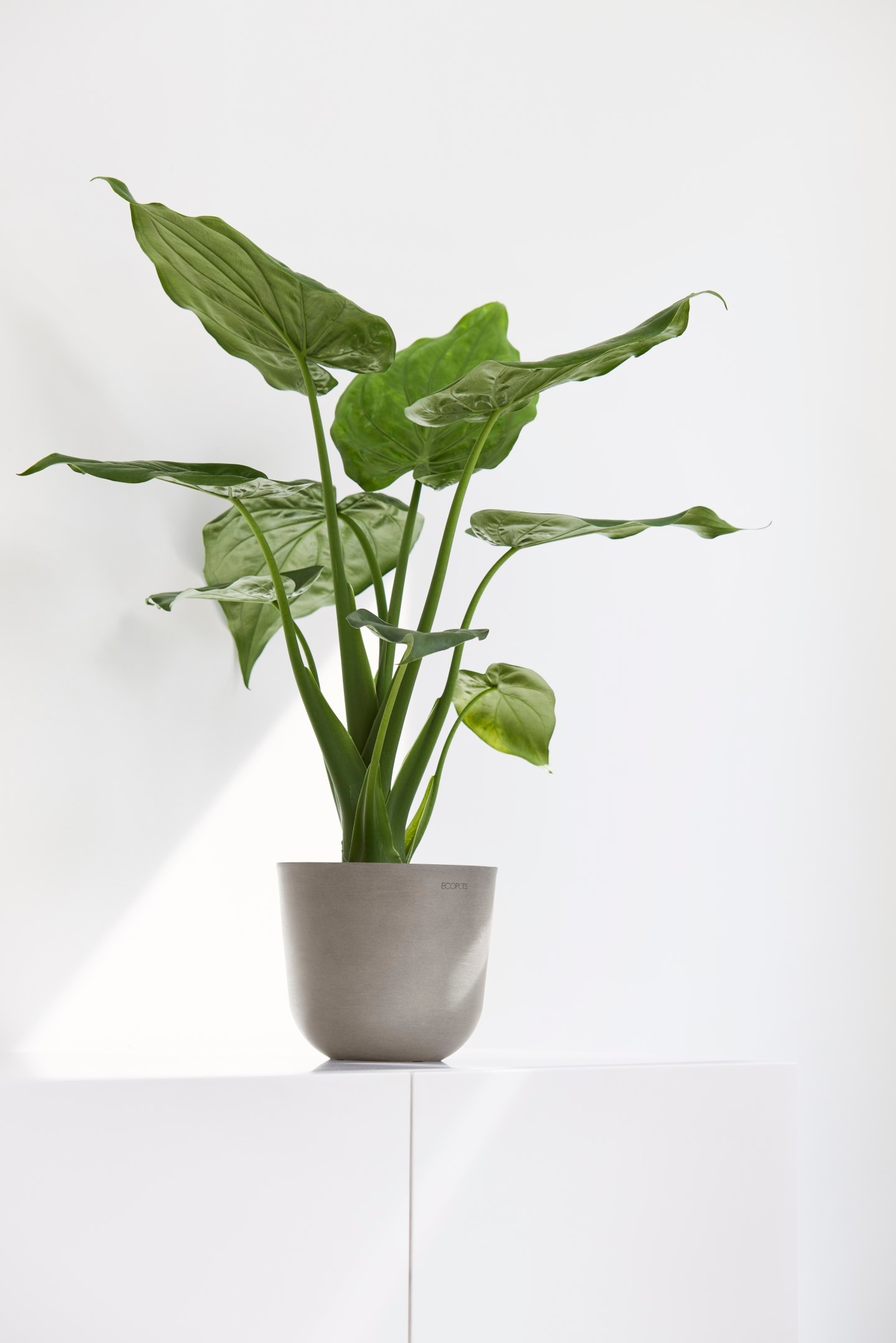 ECOPOTS Blumentopf »Oslo Mini 16 Taupe« für den Innenbereich