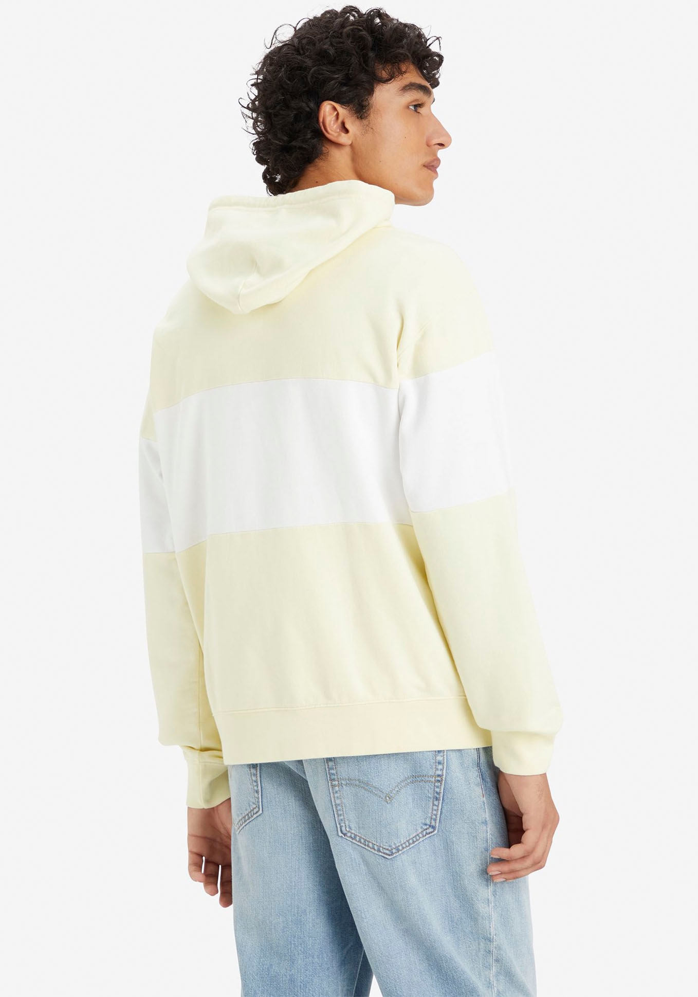 Levi's® Hoodie »LEVIS FT BLOCKED HOODIE NEUTRALS«