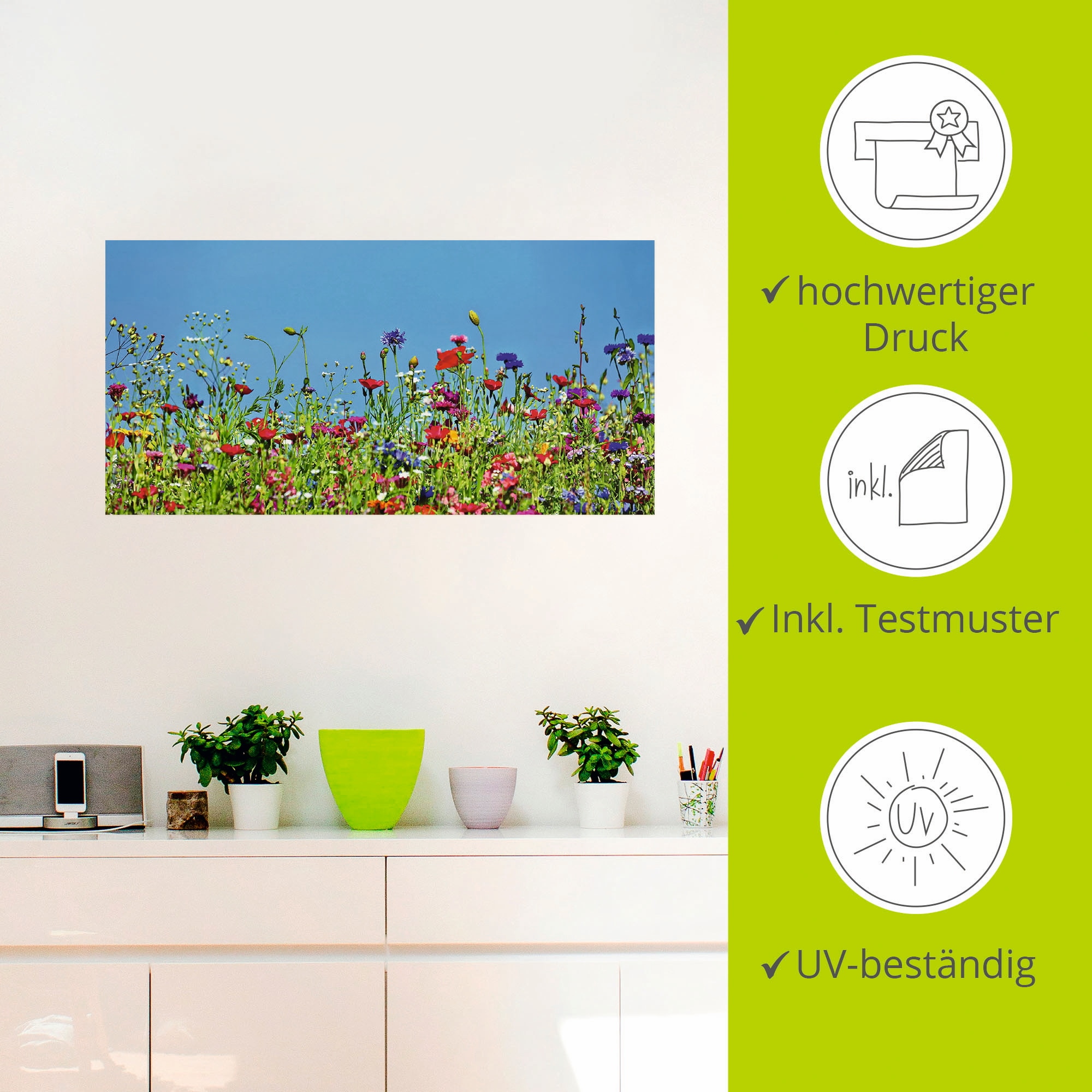 Artland Wandbild »Blumenwiese II«, Blumenwiese, (1 St.), als Leinwandbild, Wandaufkleber in verschied. Größen