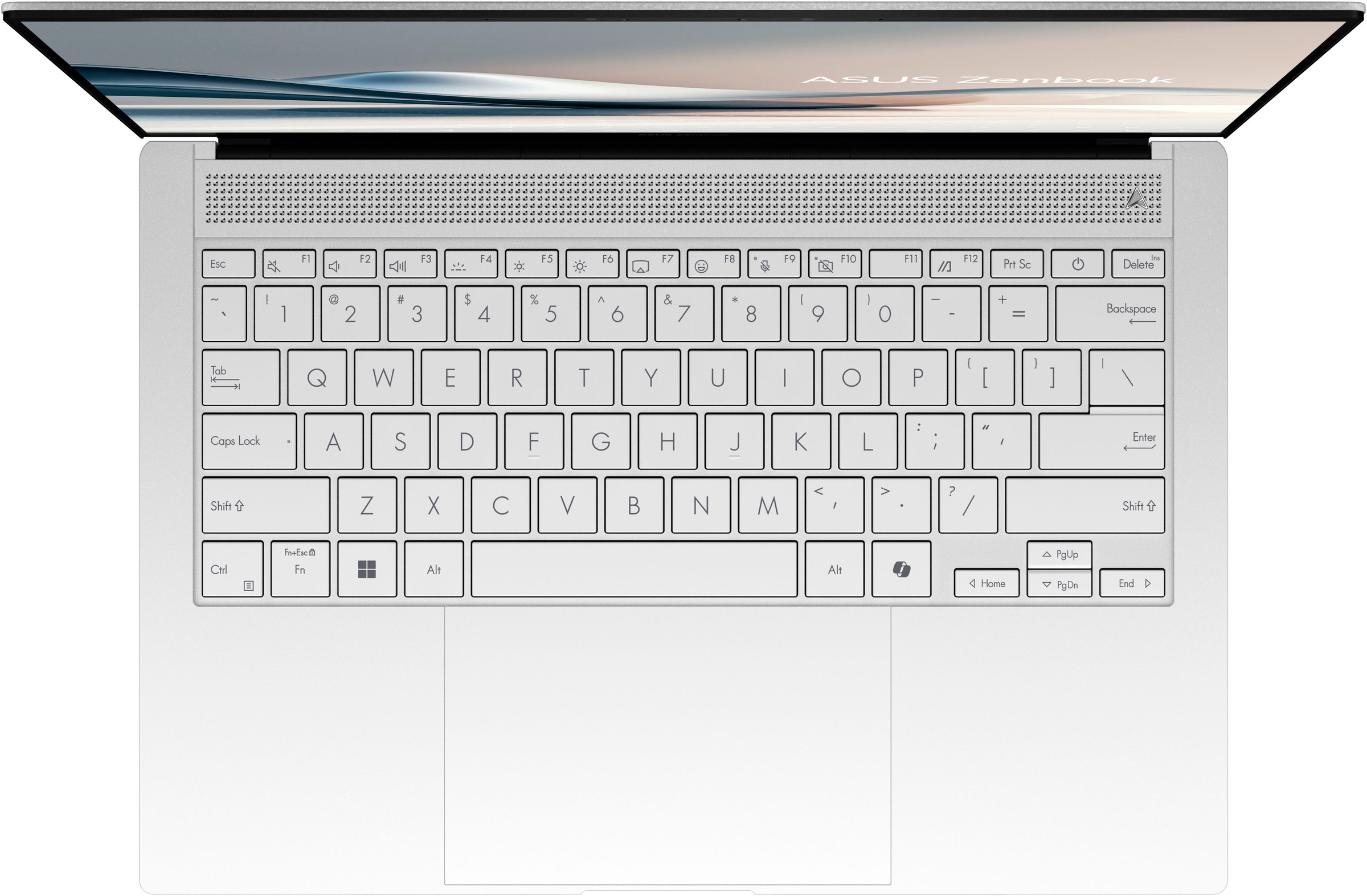 Asus Notebook »Zenbook S 14 UX5406SA-PV030W«, 35,6 cm, / 14 Zoll, Intel, Core Ultra 7, ARC, 1000 GB SSD