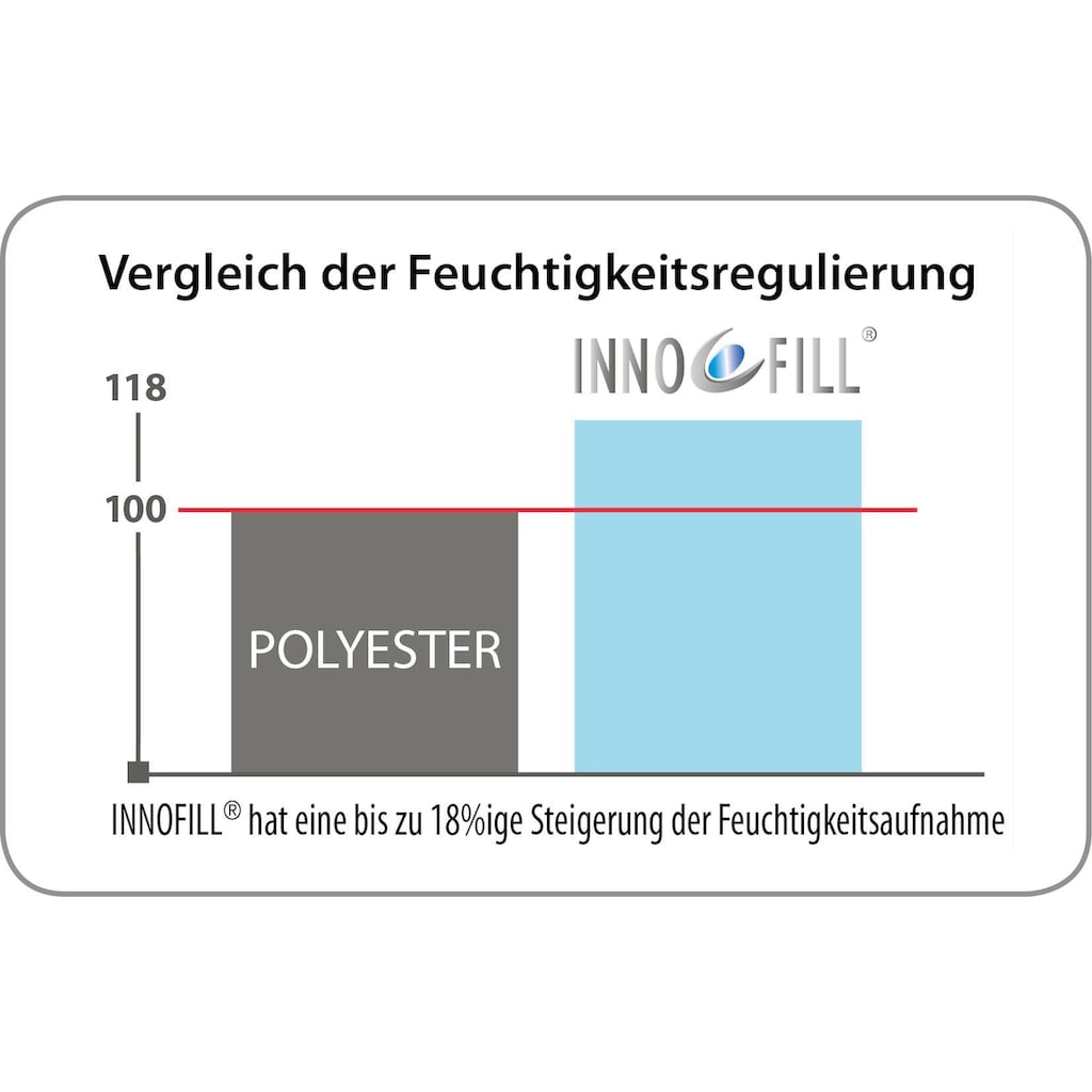 KBT Bettwaren Microfaserbettdecke »Body Soft Steppdecke«, warm, (1 St.)