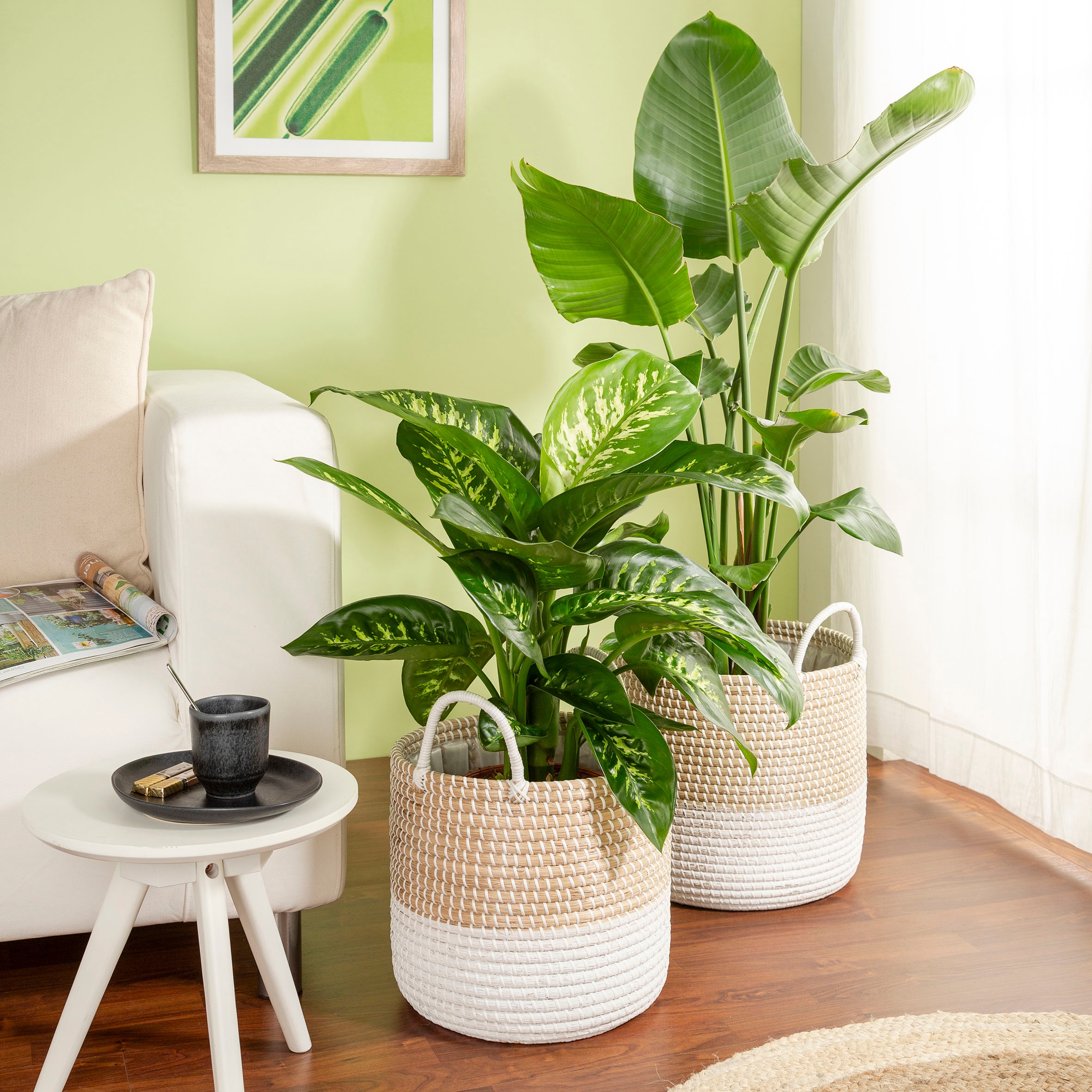 Scheurich Blumentopf »nature white 34/515«