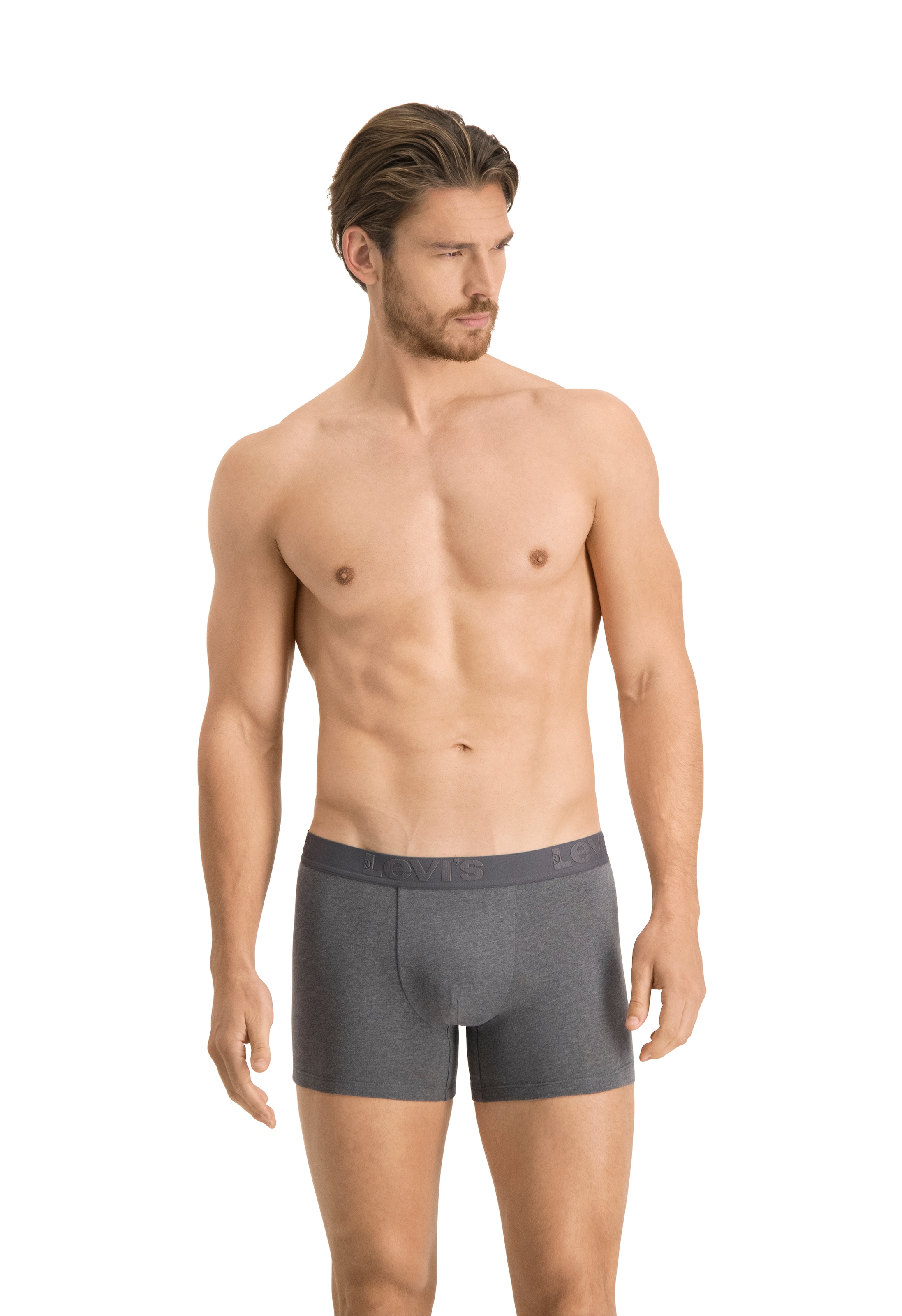 Levi's® Boxer Packung, 3er-Pack,  mit komfortablem Bund