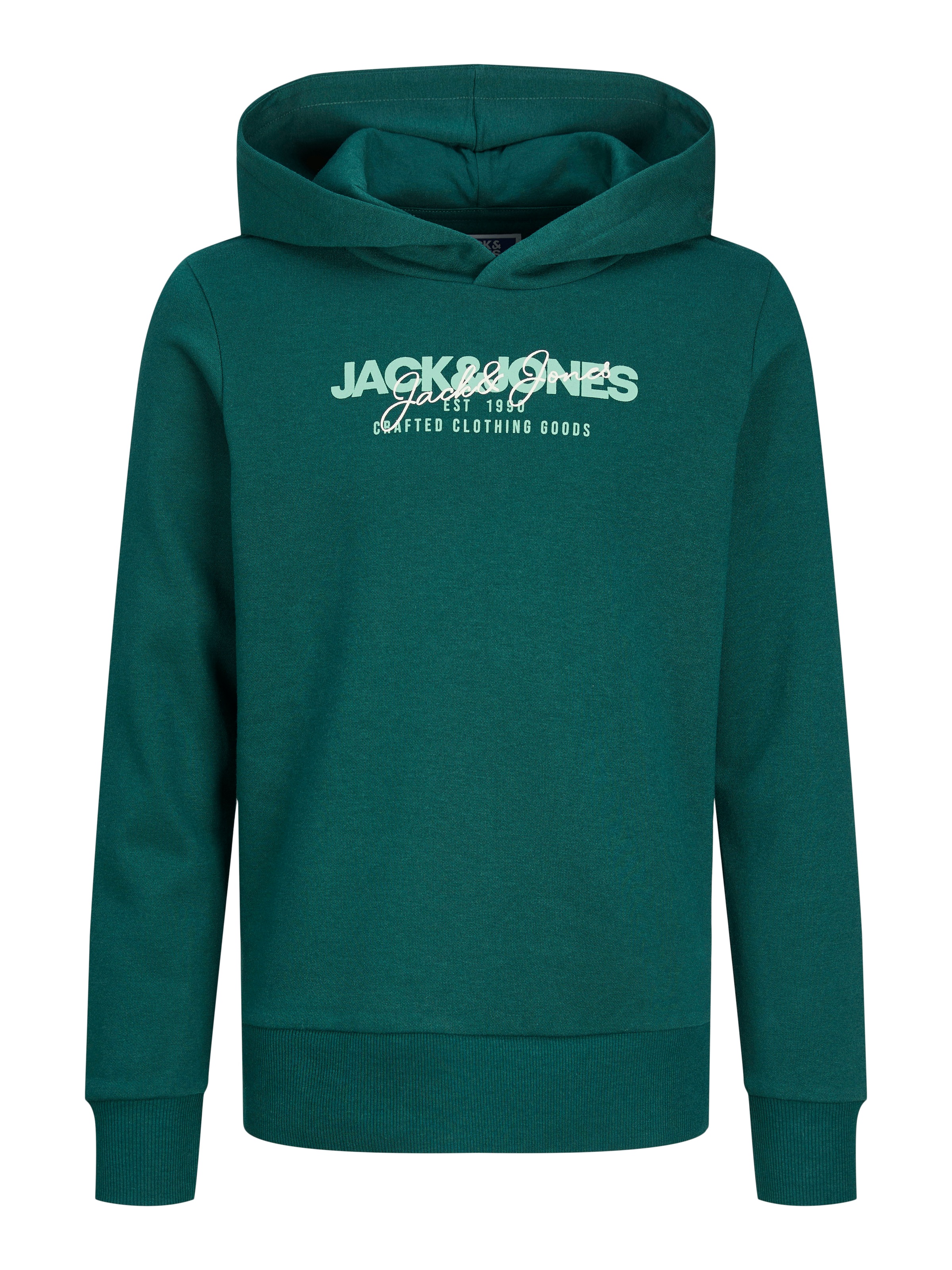 Jack & Jones Junior Hoodie »JJALVIS SWEAT HOOD JNR«