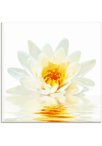 Glasbild »Lotusblume schwimmt im Wasser«, Blumen, (1 St.)