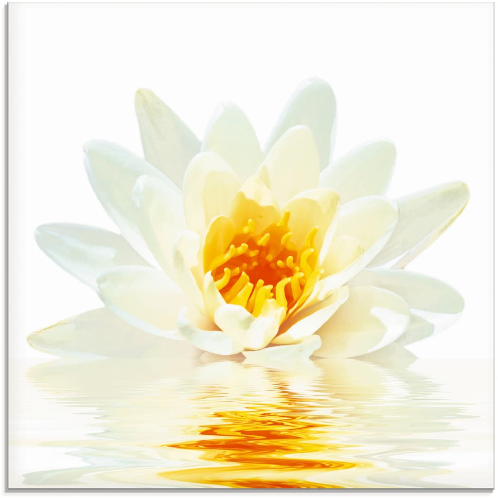 Artland Glasbild »Lotusblume schwimmt im Wasser«, Blumen, (1 St.)