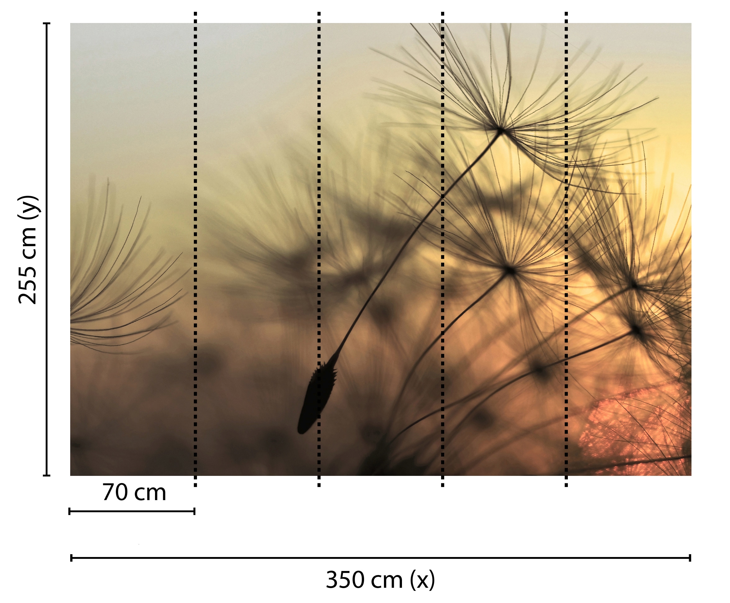 living walls Fototapete »Designwalls Flying Dandelion 2« glatt Vlies, Wand, Schräge, Decke