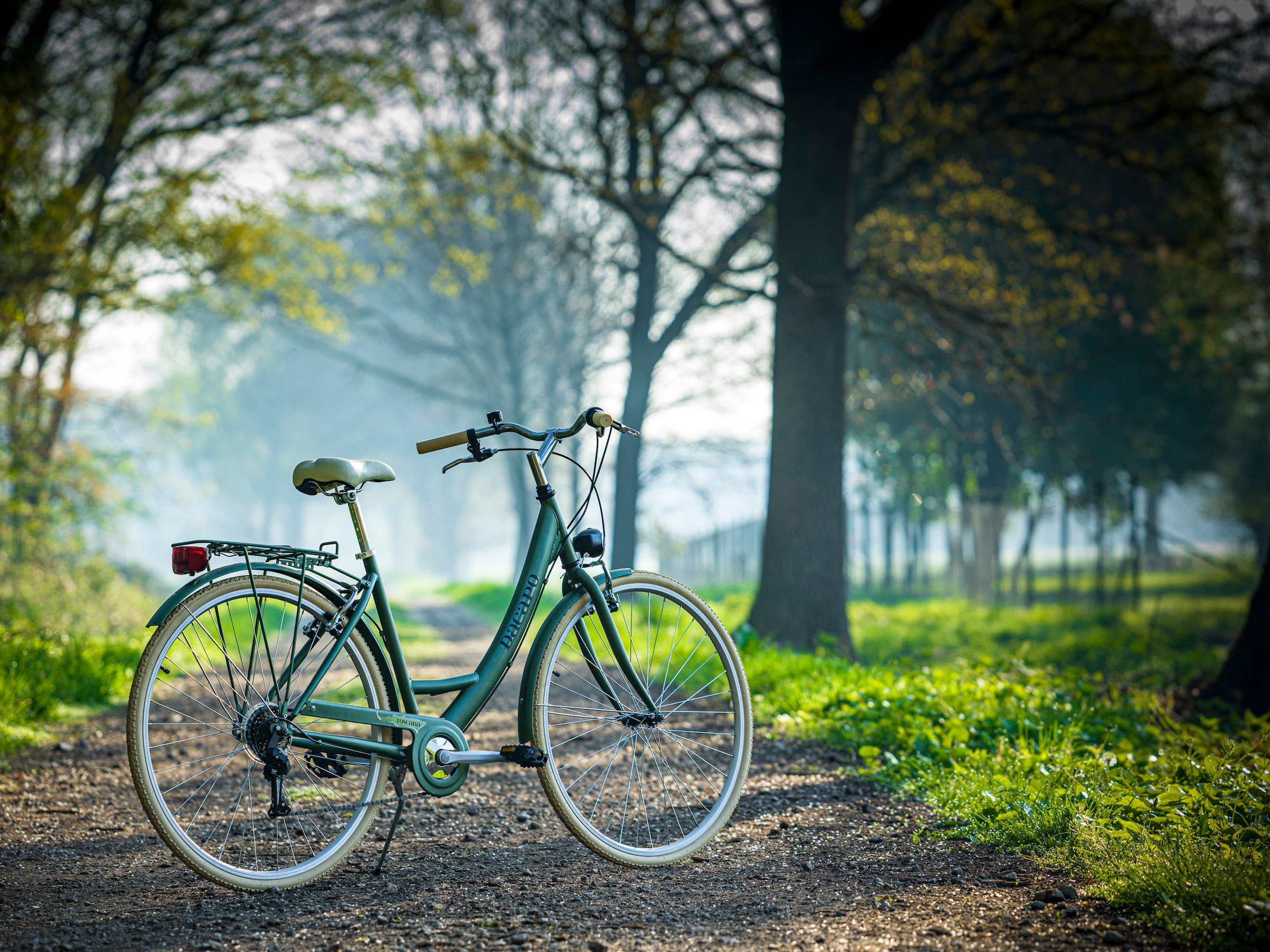 Dacapo Cityrad »Damenfahrrad 28'' Toscana grün Oregano 6 Gänge RH 48 cm«, 6 Gang, Kettenschaltung