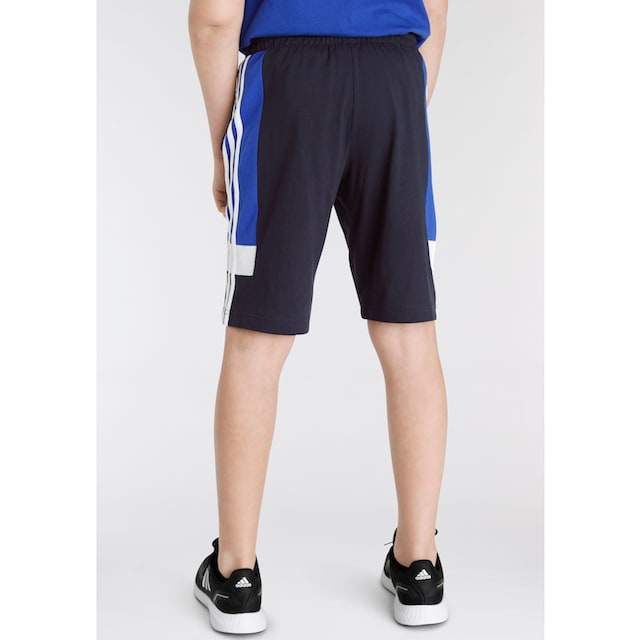 adidas Sportswear Shorts »COLORBLOCK FIT« | BAUR kaufen REGULAR 3-STREIFEN