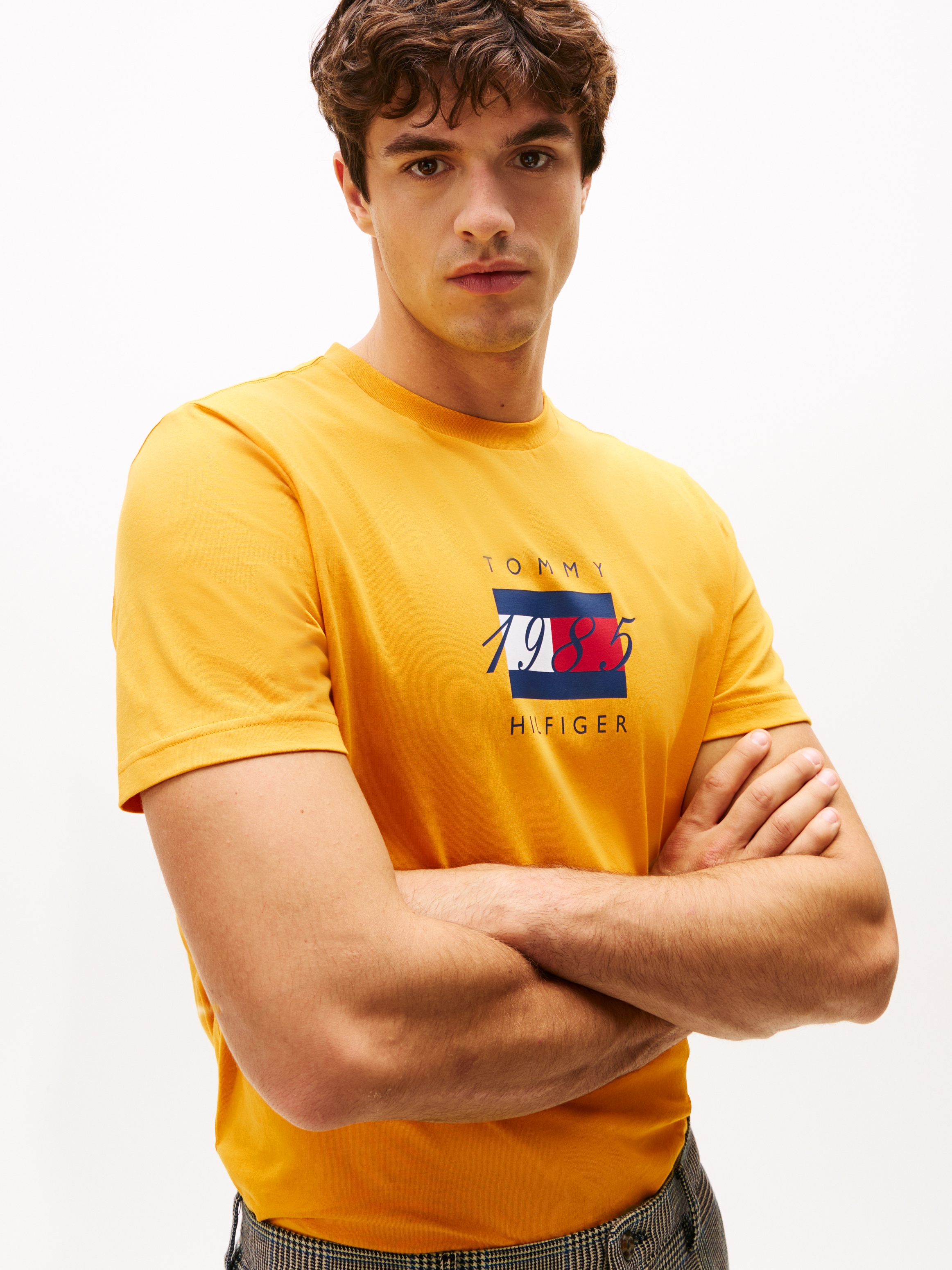 Tommy Hilfiger T-Shirt »LINEAR FLAG GRAPHIC«, Rundhals, regular fit, Jersey