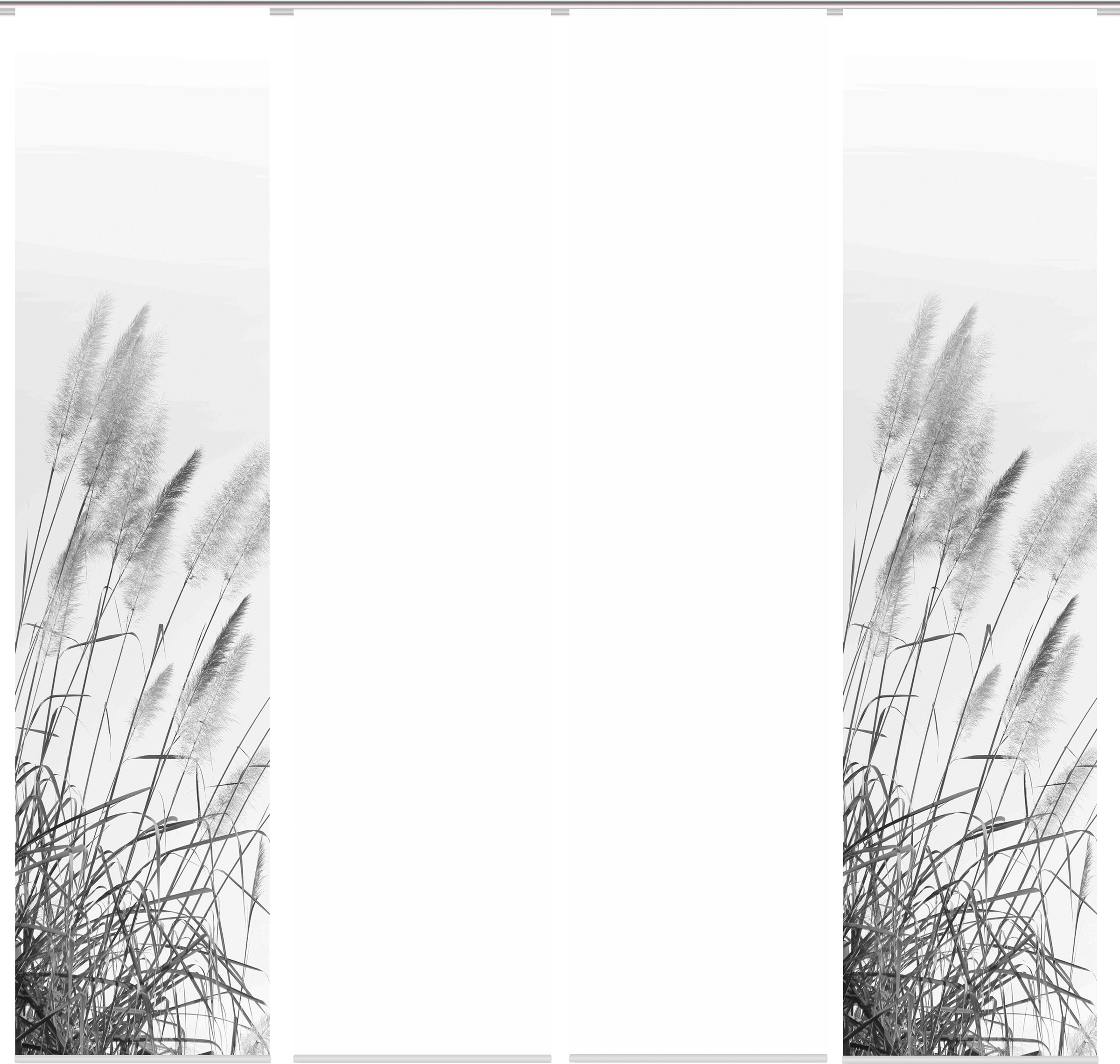 HOME WOHNIDEEN Schiebegardine "PAMPAS" Paneelwagen 1 Stk. tlg. DIGITALDRUCK günstig online kaufen