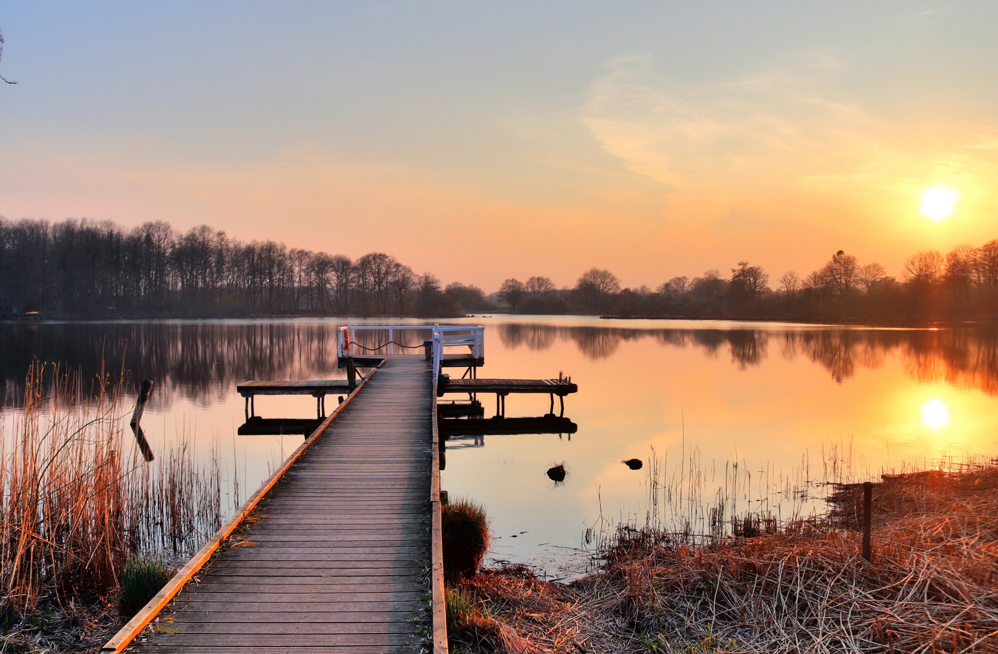 Papermoon Fototapete "HOLZ-BRÜCKE-PIER STEG SEE STRAND WALD SONNENUNTERGANG"