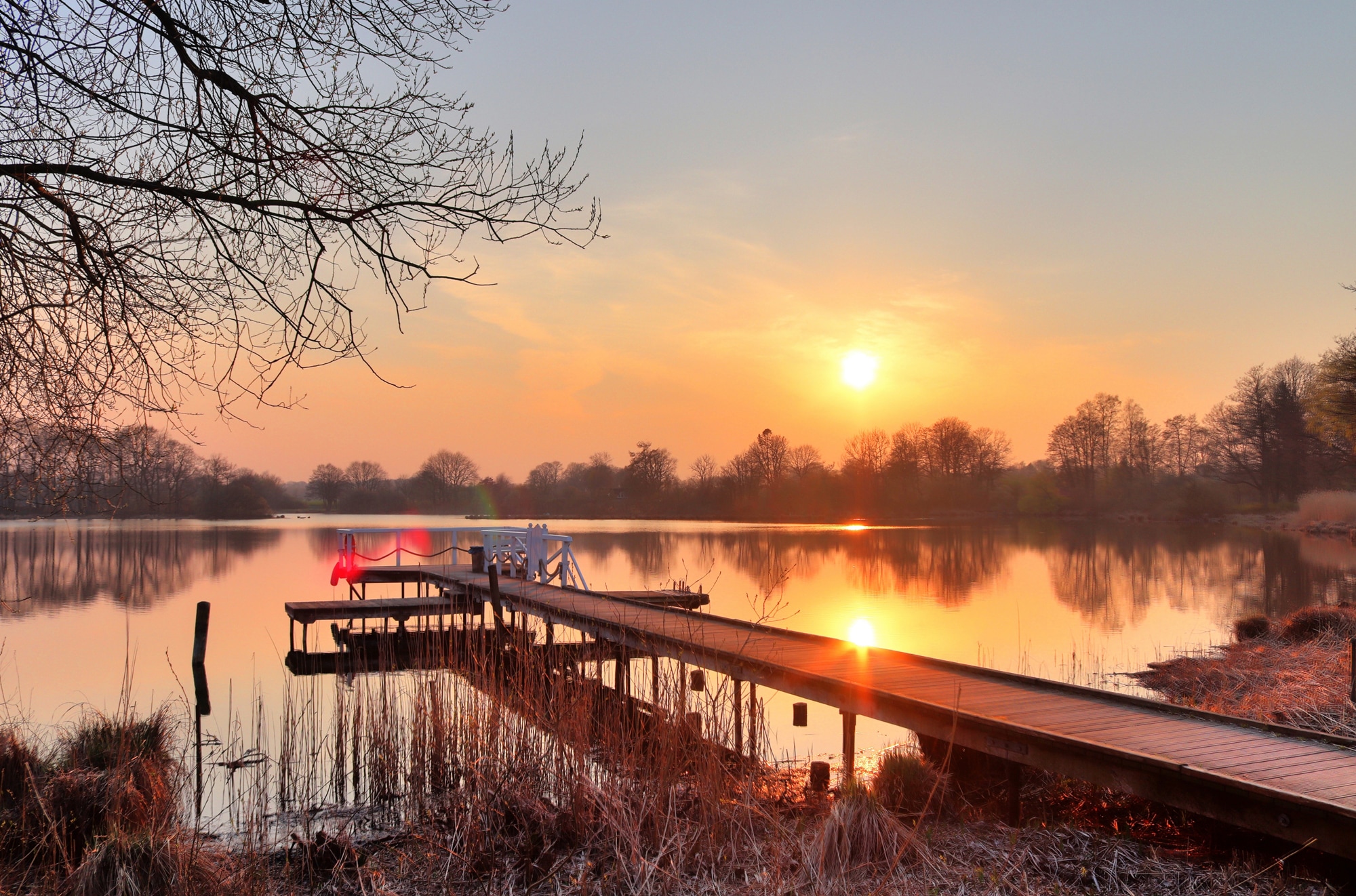 Papermoon "HOLZ-BRÜCKE-PIER STEG SEE STRAND WALD SONNENUNTERGANG"