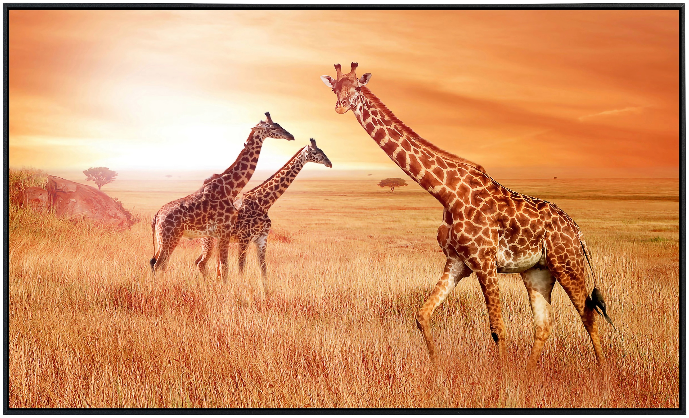 Papermoon Infrarotheizung »Afrikanische Giraffen«, sehr angenehme Strahlungswärme