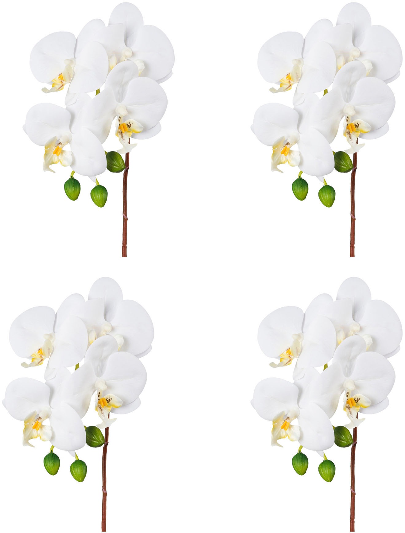 Creativ green Kunstorchidee »Orchidee Phalaenopsis«, mit real-touch-Blüten