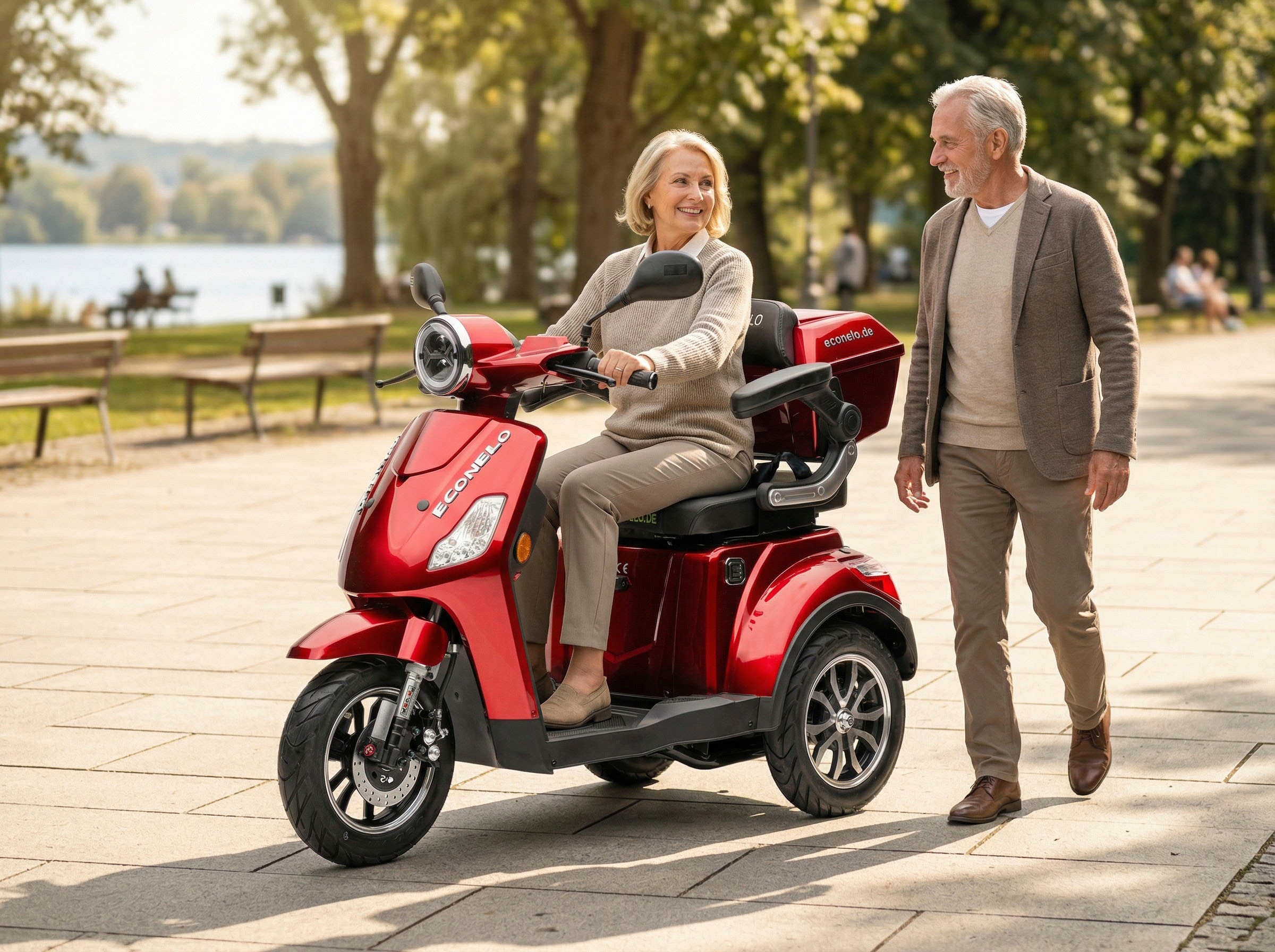 ECONELO Elektromobil »Seniorenmobil P1000, Lithium-Akku, 25 km/h, 1000 Watt« 1.000 W 25 km/h