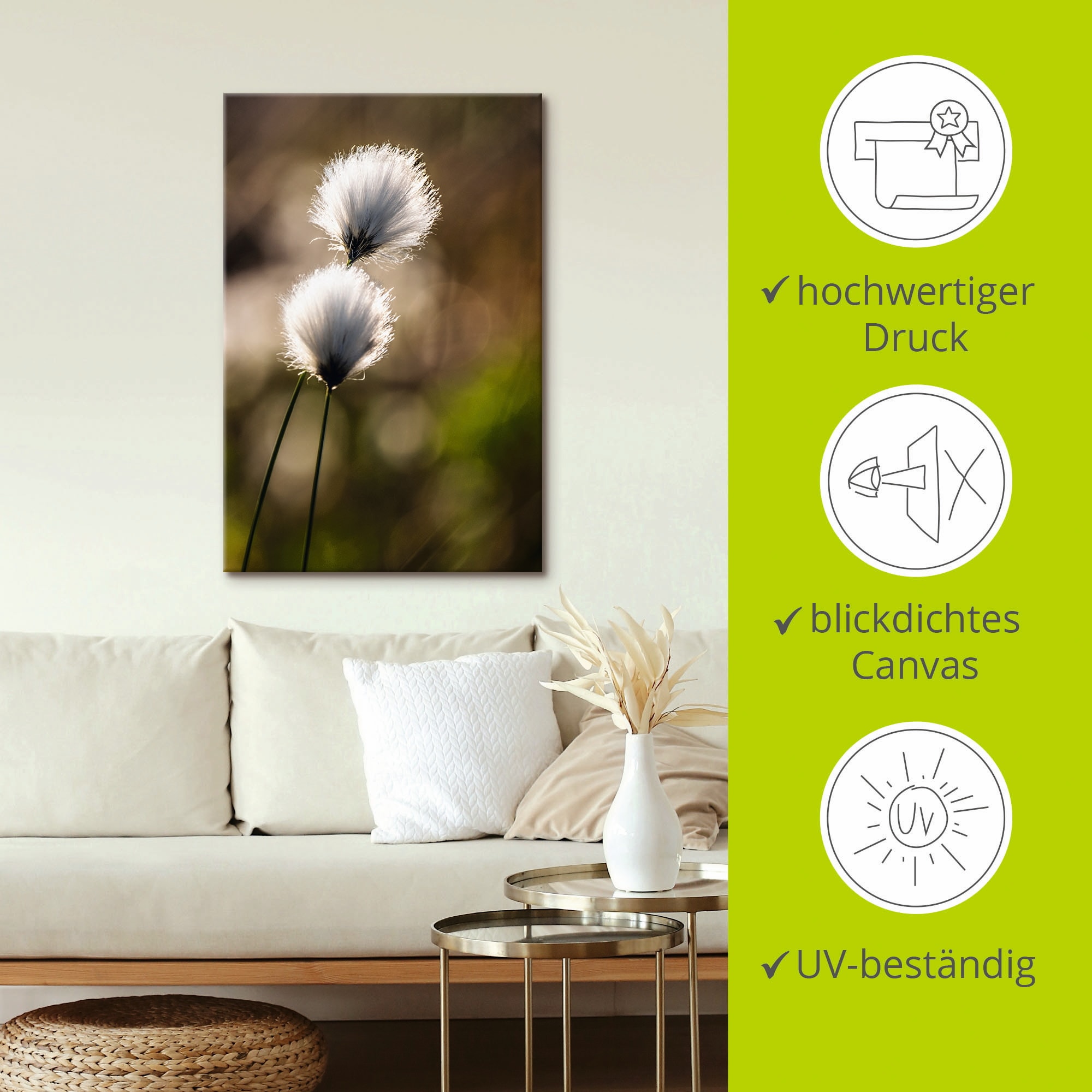 Artland Wandbild »Wollgras I«, Gräser, (1 St.), als Alubild, Outdoorbild, Leinwandbild, Poster in verschied. Größen