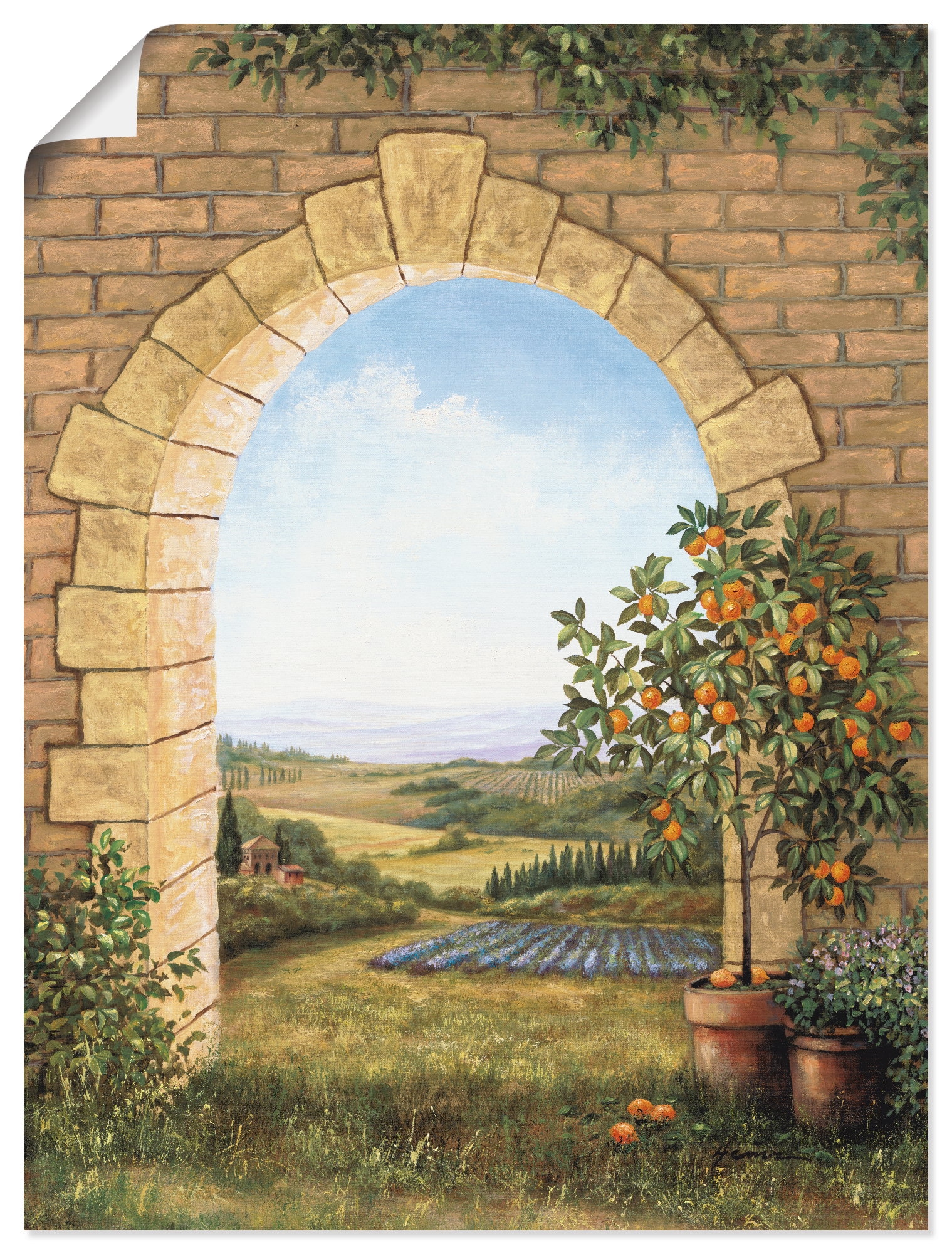 Artland Wandbild "Orangenbaum vor dem Torbogen" Fensterblick 1 Stk. tlg. al günstig online kaufen