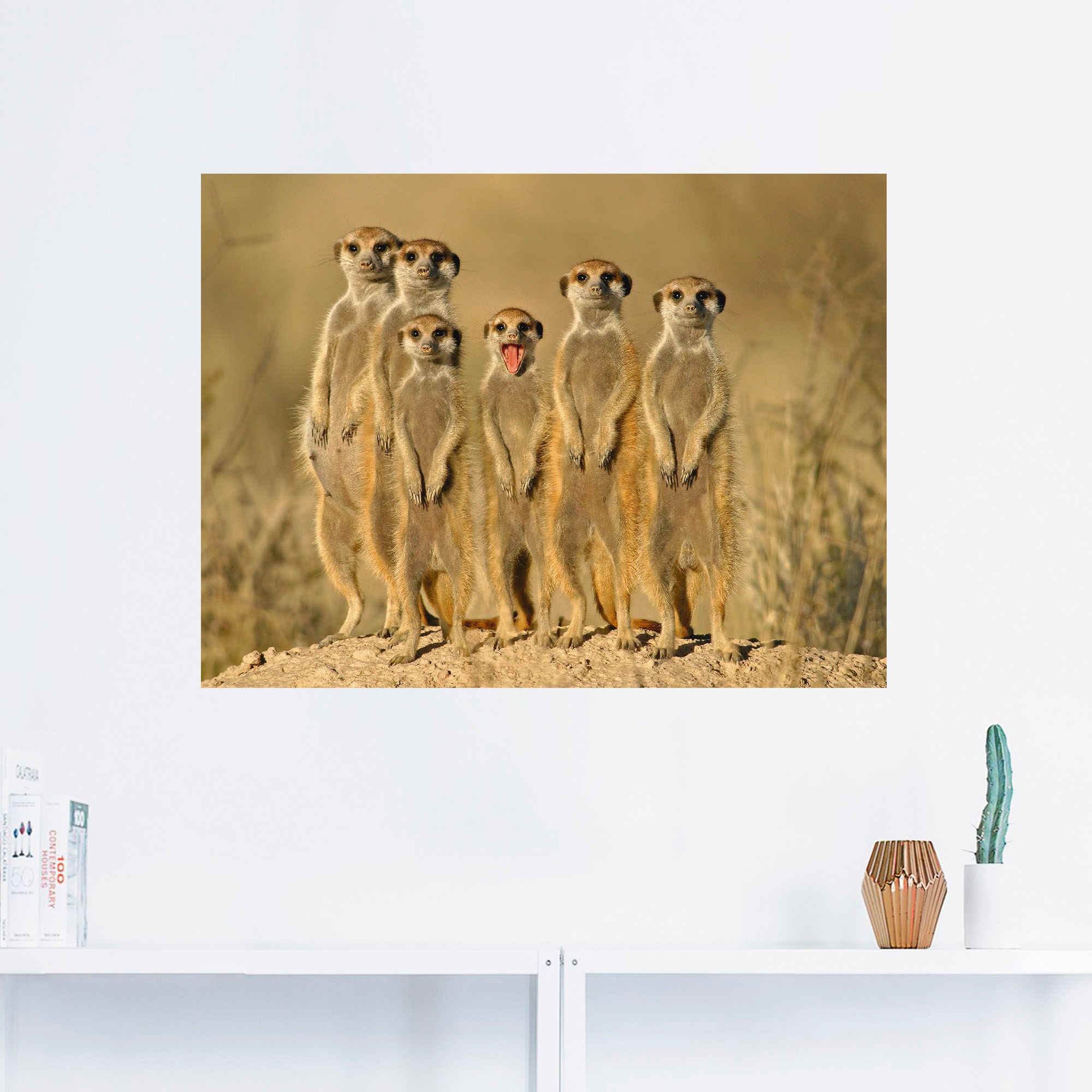 Artland Wandbild »Erdmännchen Familie«, Wildtiere, (1 St.), als Alubild, Outdoorbild, Leinwandbild, Poster, Wandaufkleber