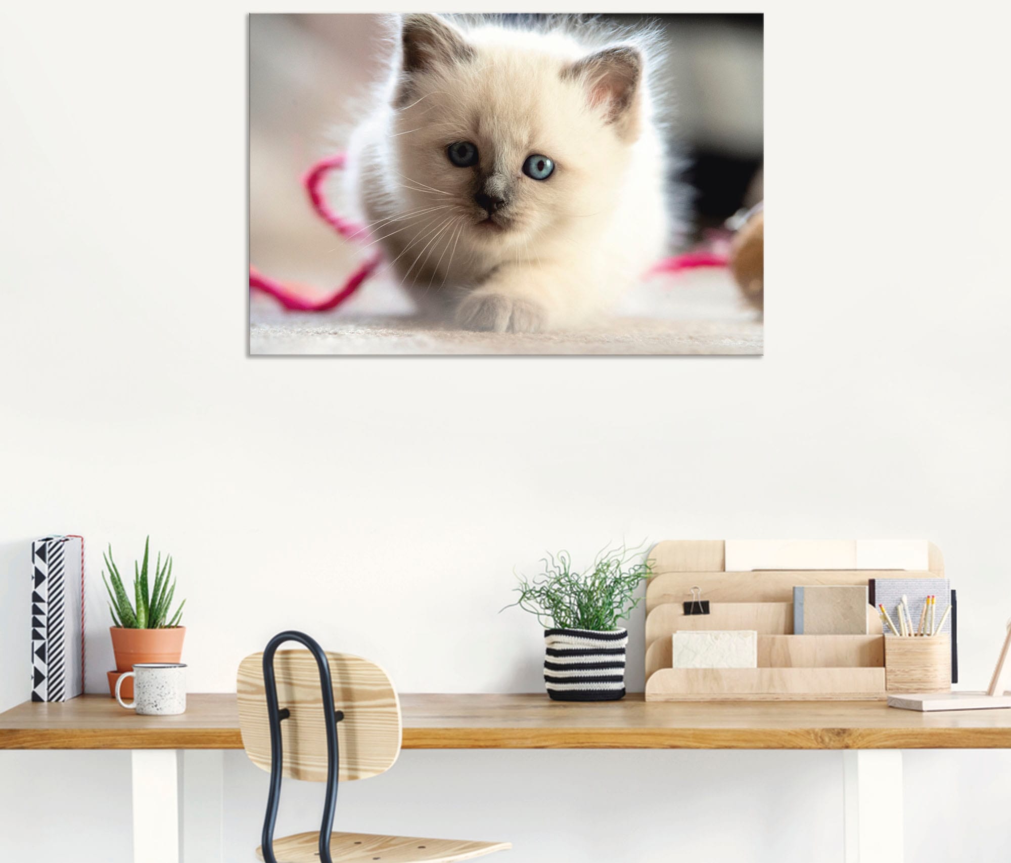 Artland Leinwandbild »Heilige Birma Katze im Spiel«, Katzenbilder, (1 St.), auf Keilrahmen gespannt