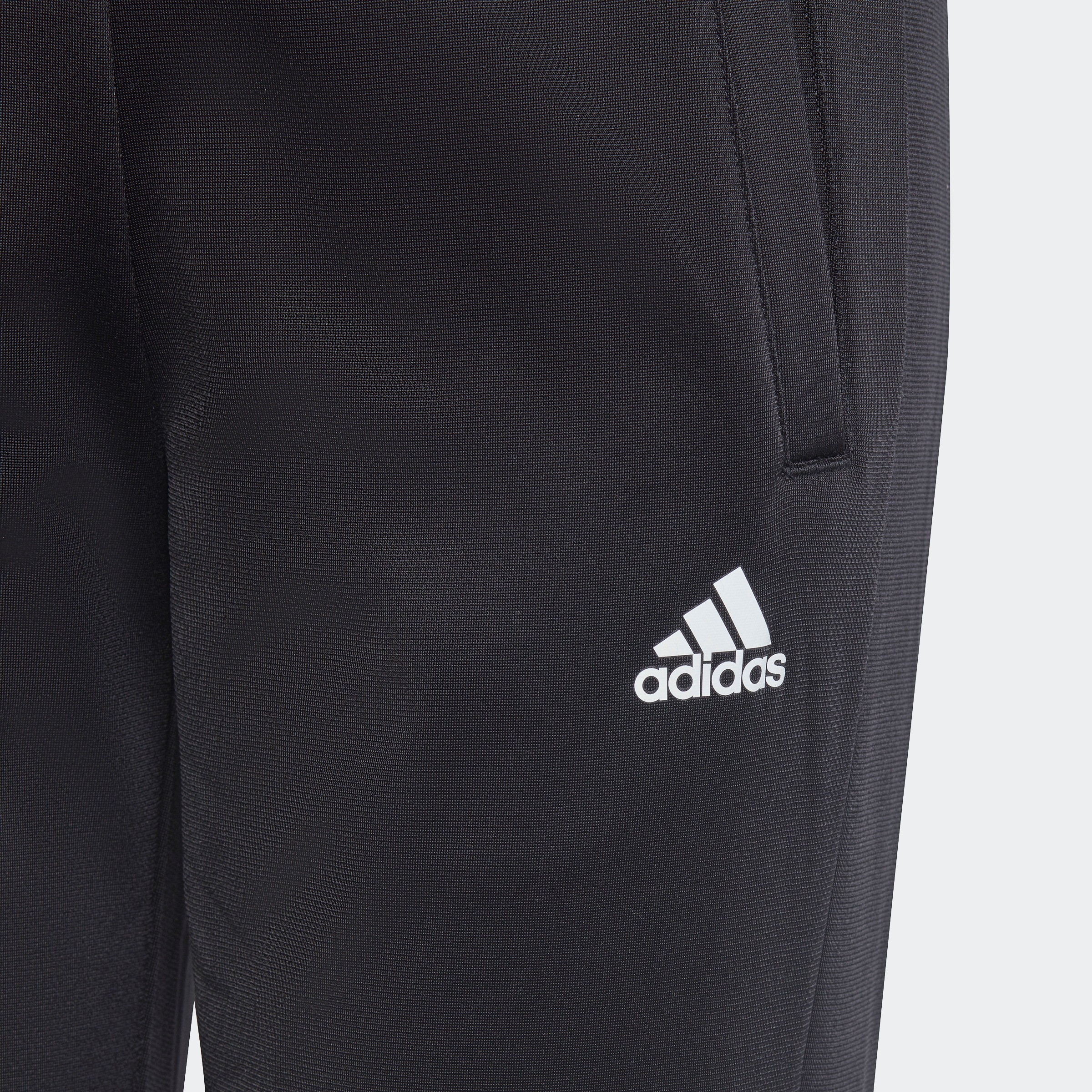 adidas Sportswear Trainingsanzug »ESSENTIALS BIG LOGO«, (2 tlg.)