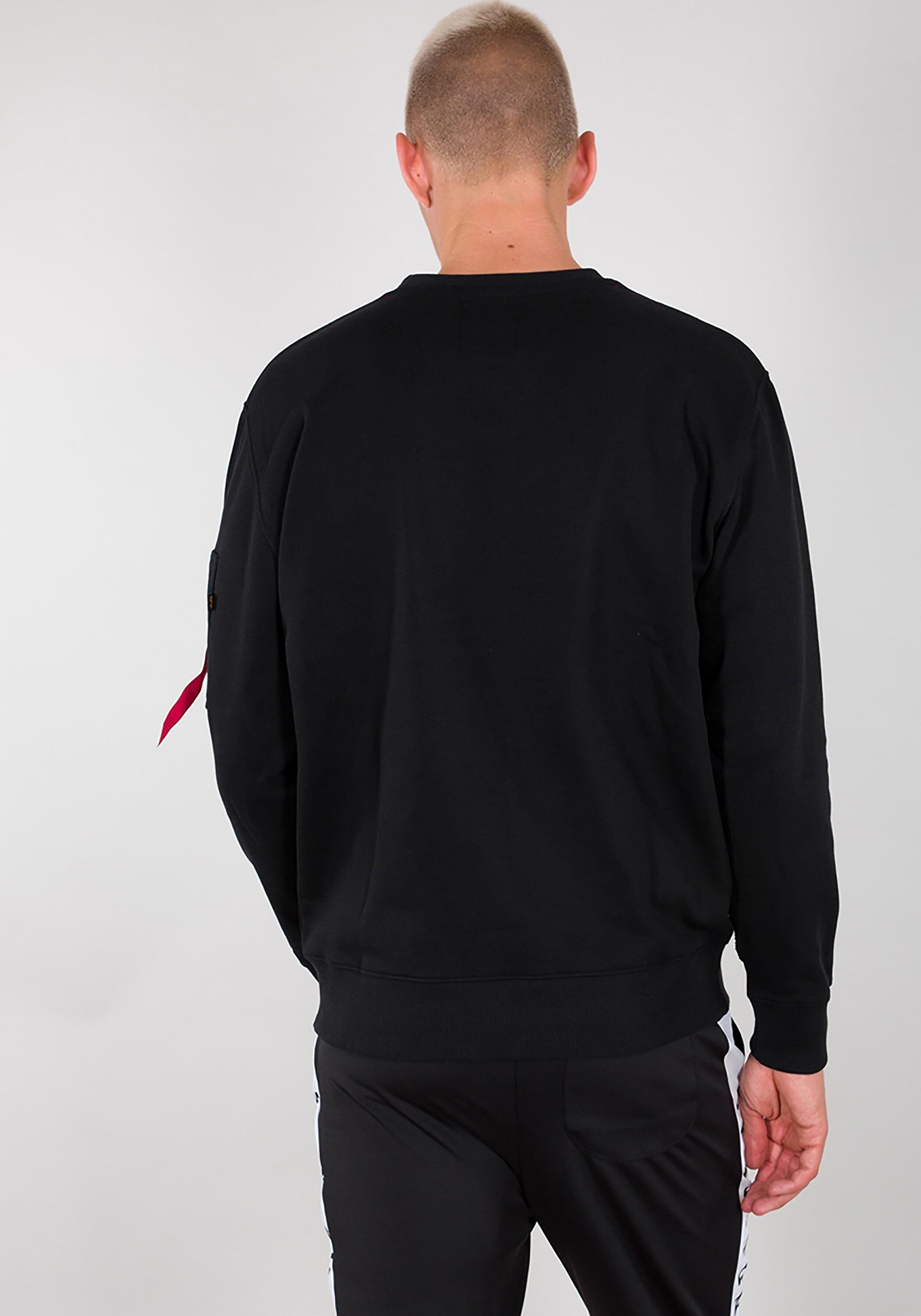 Sweater Hoodys »Alpha für ▷ Sweats & Sweater« Industries | Logo BAUR Men Alpha - Industries 3D