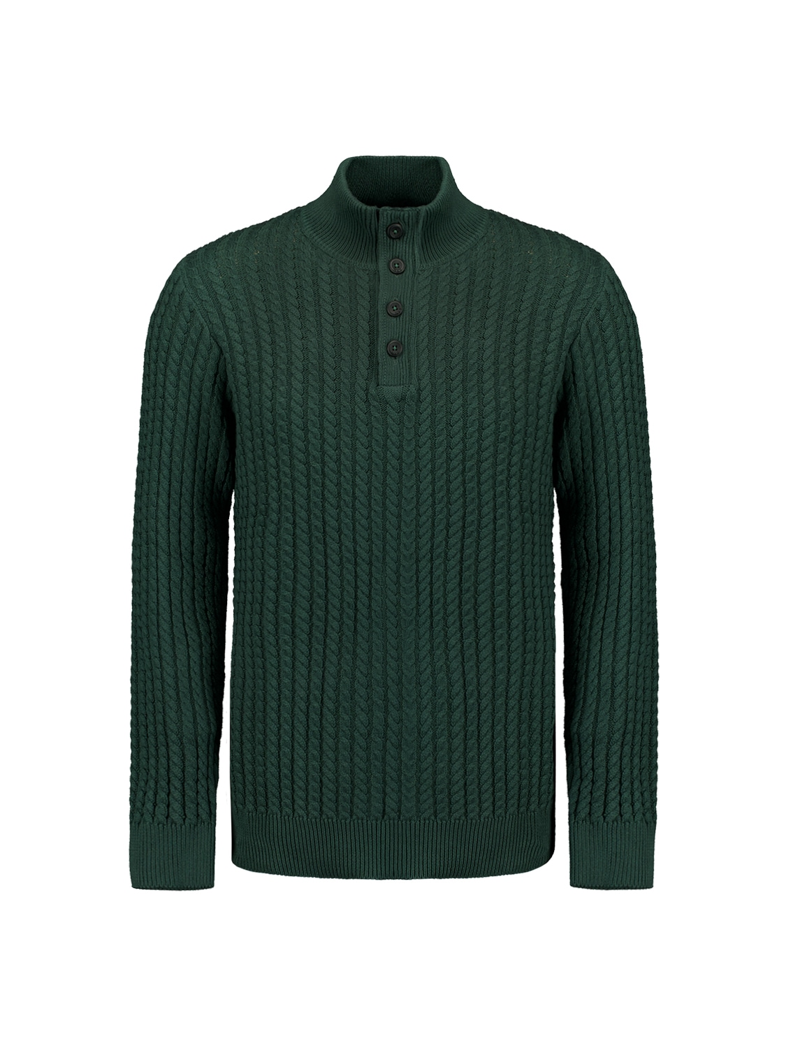 NO EXCESS Rollkragenpullover »No Excess Jacquard-Pullover mit Halbknopfleiste«